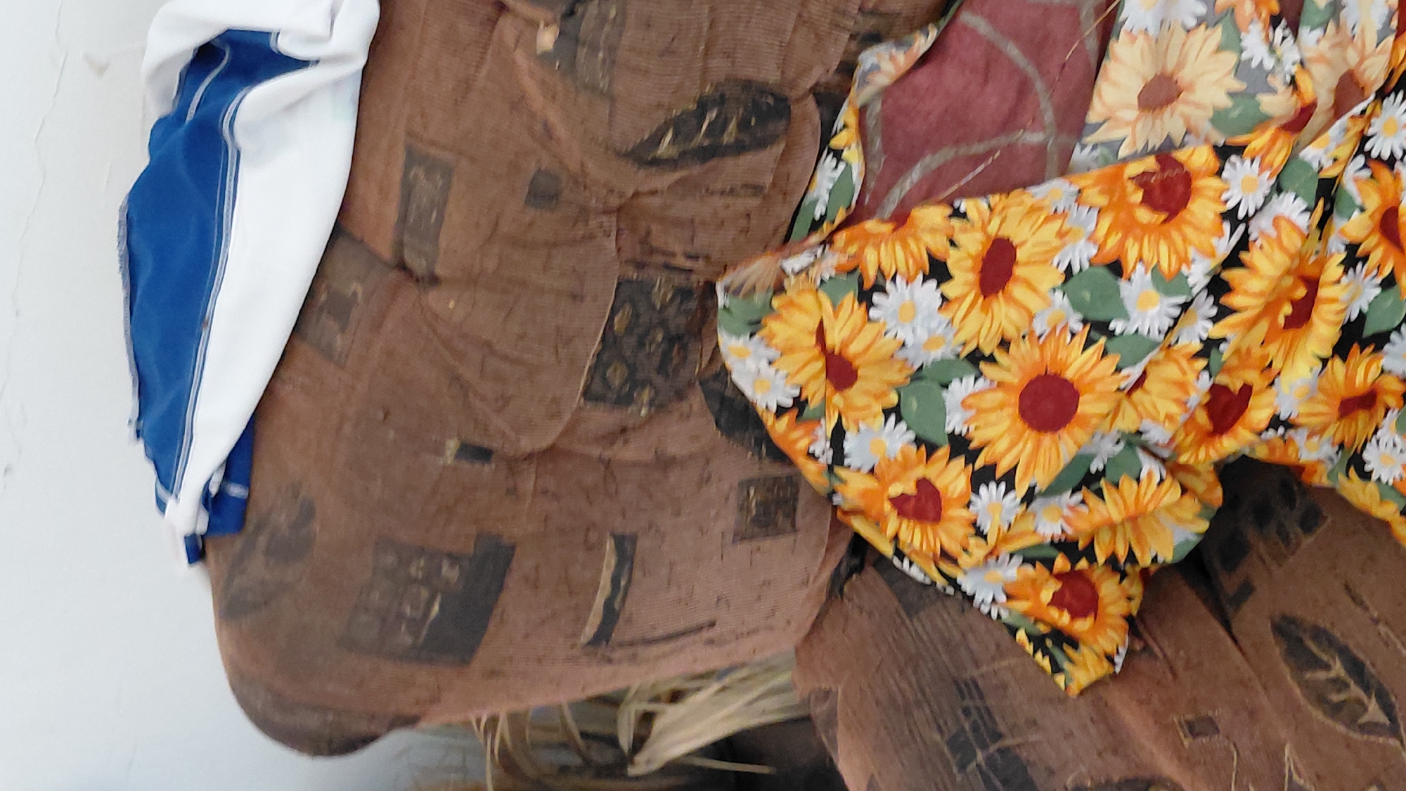 The image depicts an interior scene, likely a domestic setting, showing a brown patterned sofa with a folded blue and white garment on top of its backrest. In the foreground, a colorful garment with a sunflower print is draped over the sofa. The overall impression is one of a casual, lived-in space. The location of Santa Ana, Venezuela is not evident from the visual information provided in the image itself.
