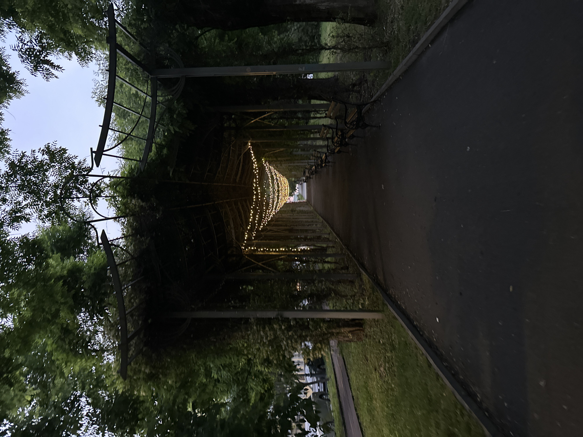 The image displays a long, arched pathway or pergola in a park or garden in Burgas, Bulgaria, during what appears to be dusk or early evening. The archway is constructed from dark metal frames and heavily overgrown with dense green foliage, likely vines or climbing plants. Along the entire length of the arch's interior, numerous small, warm-toned string lights are suspended, creating a glowing tunnel effect that leads the eye into the distance.
The pathway itself is a dark, paved surface, possibly asphalt or concrete. To the right of the path, a series of dark, cast-iron park benches are evenly spaced, facing away from the walkway towards a grassy area and more trees. Lush green grass and additional trees flank both sides of the pathway beyond the immediate arch structure. The sky, visible at the far end of the illuminated tunnel, is light and overcast, confirming the evening setting as the artificial lights are active. No people or specific activities are depicted, contributing to a calm and inviting atmosphere. There is no visible text in the image.