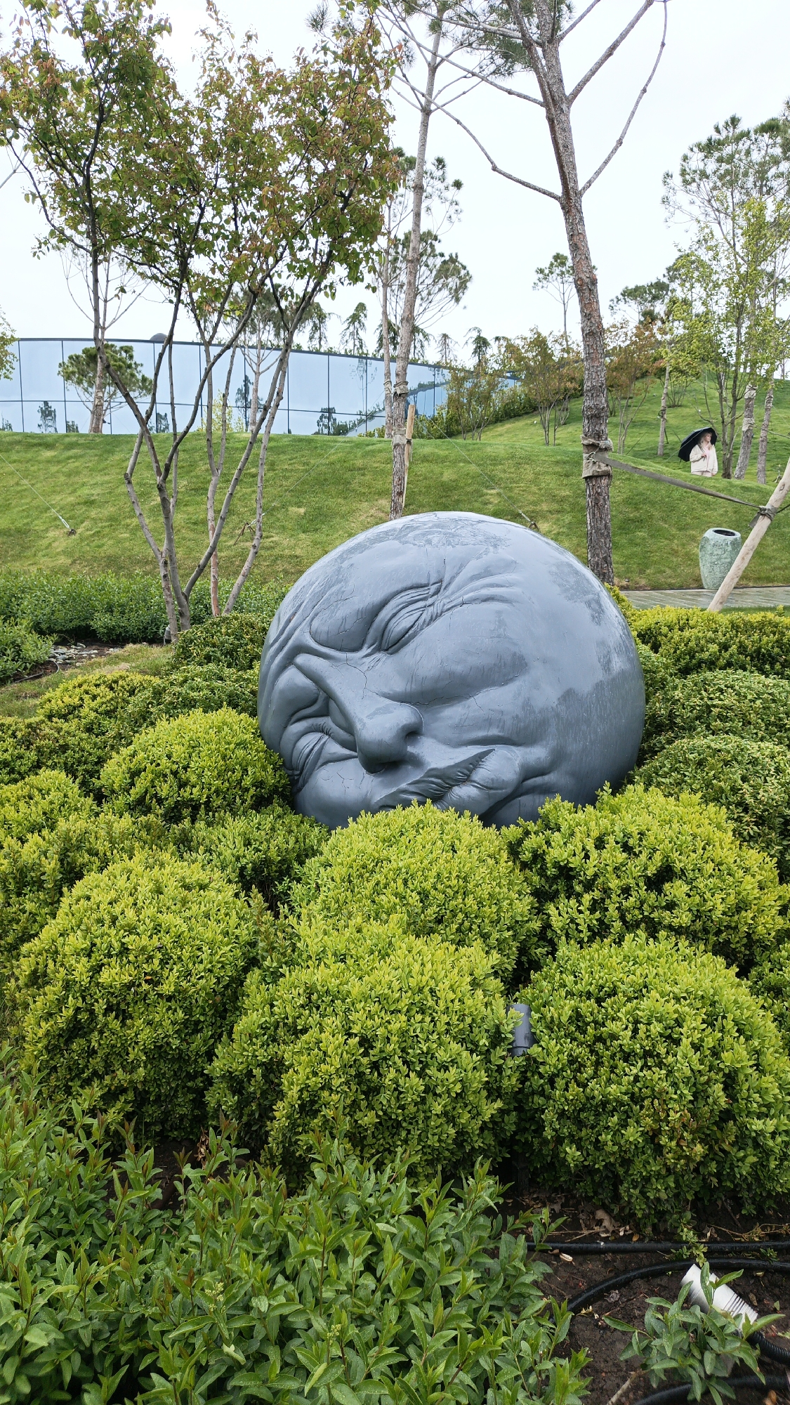 The image shows a large, gray, spherical sculpture of a human head with a grimacing expression, resting among dense green bushes in a park. The sculpture is the central focus, dominating the foreground. Behind the sculpture, there are trees with thin trunks and sparse foliage, and beyond them, a green, grassy hill. In the background, a modern building with a glass facade is visible. The overall scene suggests a contemporary sculpture garden or park in the city of Krasnodar, Russia. Other features include trees, a garden pot, and a person in the background. The photo appears to have been taken on an overcast day.