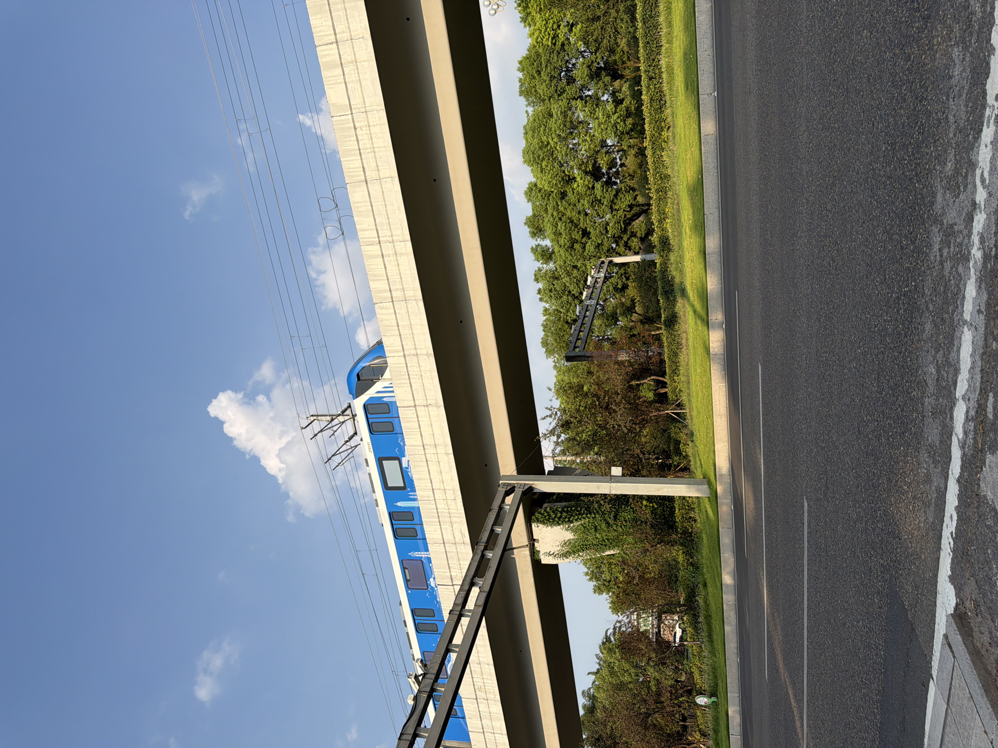 A blue and white elevated train moves along an elevated track under a clear blue sky with scattered white clouds. The train has windows and is decorated with white outlines of buildings. The track is supported by a concrete structure that passes over a road. Green trees and manicured lawns are visible below the elevated track. The road in the foreground is asphalt with white lane markings. This scene is located in the city of Jiangjin, China.