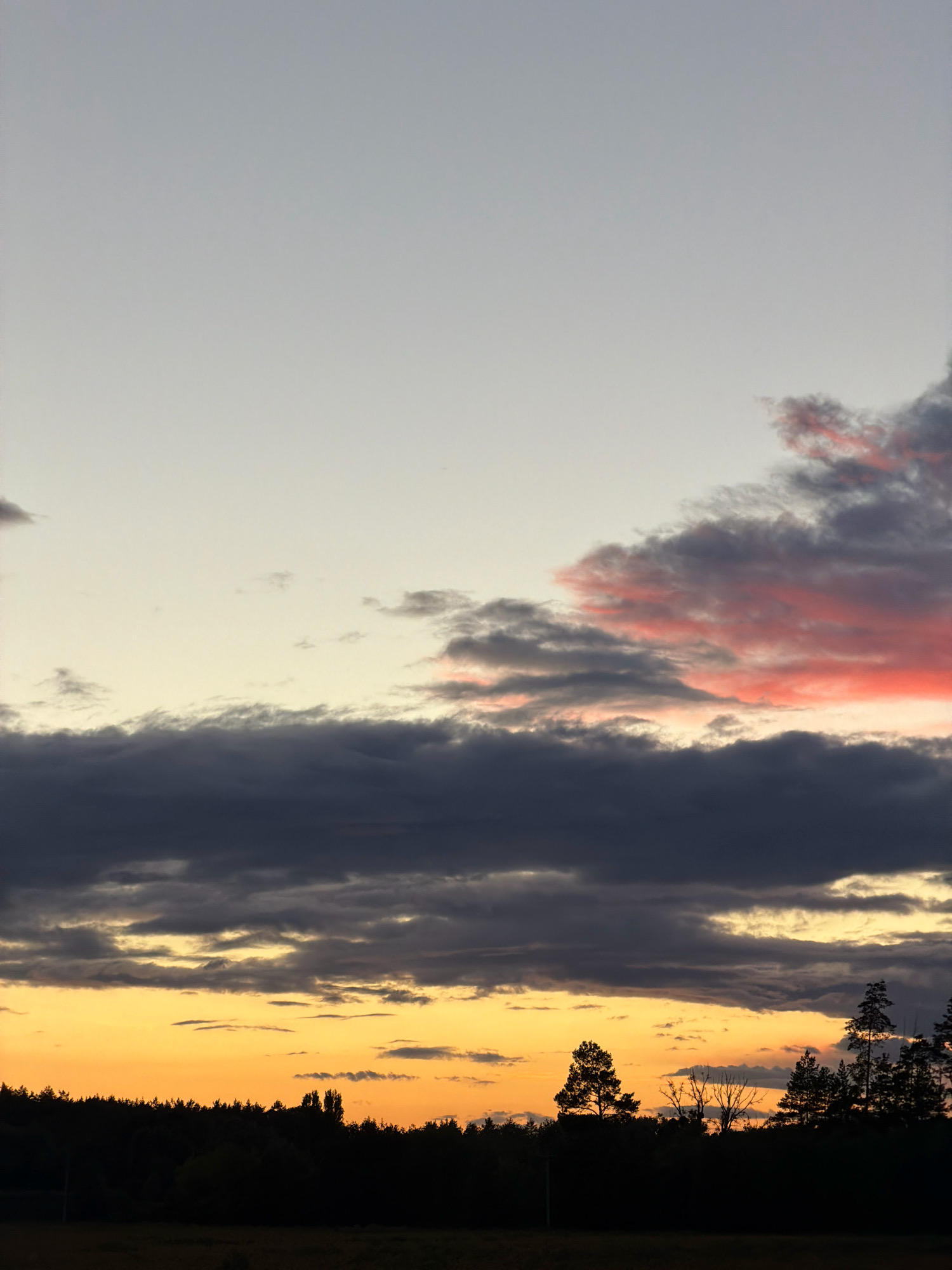 A vertical, medium shot captures a silhouetted forest edge against a sunset sky. The sky transitions from a pale gray at the top to a warm yellow near the horizon. Dark, heavy clouds span the mid-section of the image, with streaks of pink and orange breaking through on the right side. The bottom portion of the image is dominated by the dark silhouette of a dense forest, with a few individual trees, including a tall pine on the right, standing out against the sky. A few small, indistinct figures or objects are visible in the sky above the silhouette, likely birds or distant lights. The foreground is a dark, indistinct field. The overall scene depicts a natural landscape at dusk.