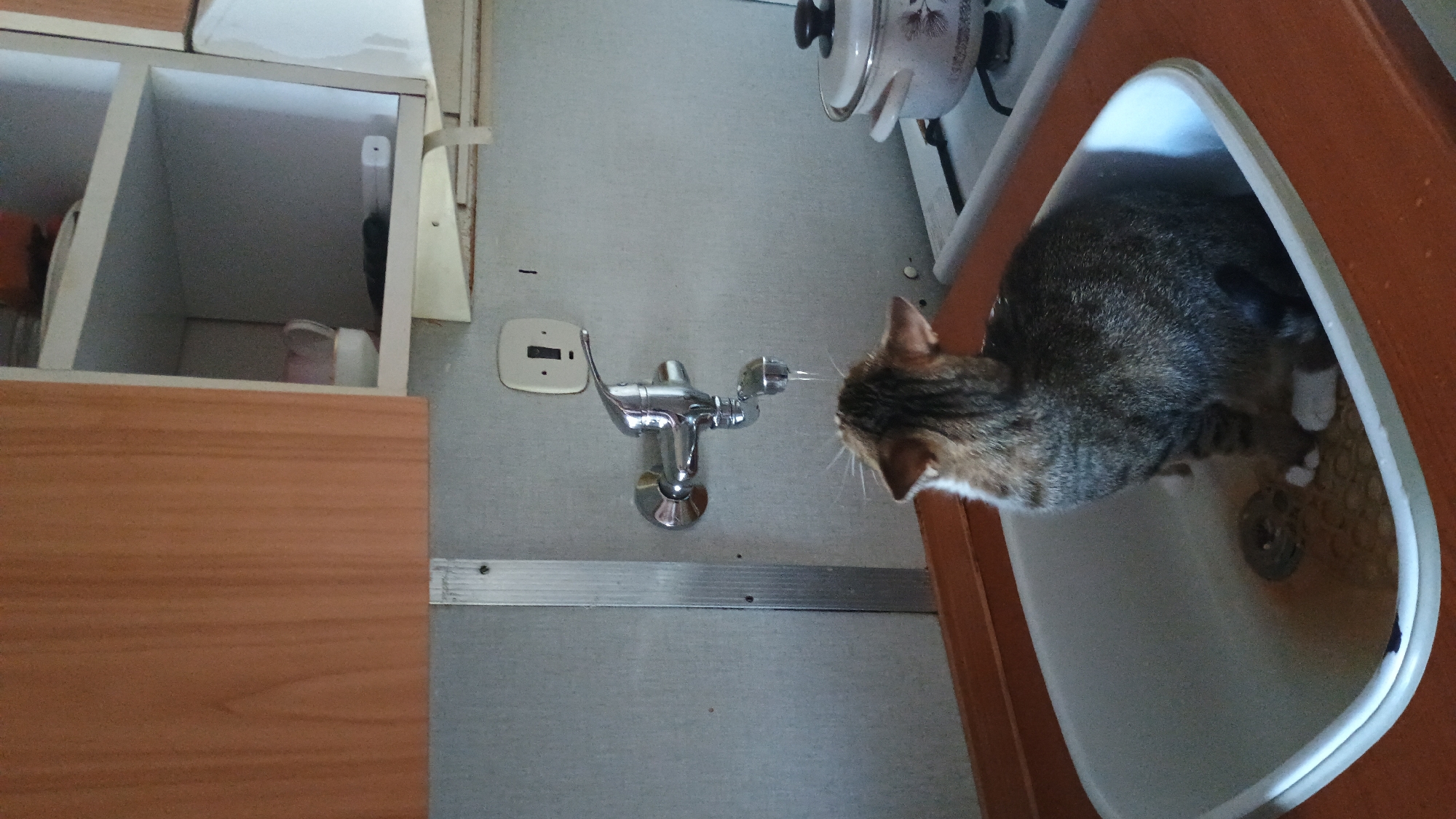 A tabby cat is sitting in a sink with a trickle of water running from a faucet above it. The sink is made of white porcelain and is set into an orange countertop. In the background, there is a gray tiled wall with a chrome faucet and a light switch. To the right of the sink, there is a white gas stove with a white pot on it. Above the sink, there is a wooden cabinet. The scene appears to be in a kitchen.