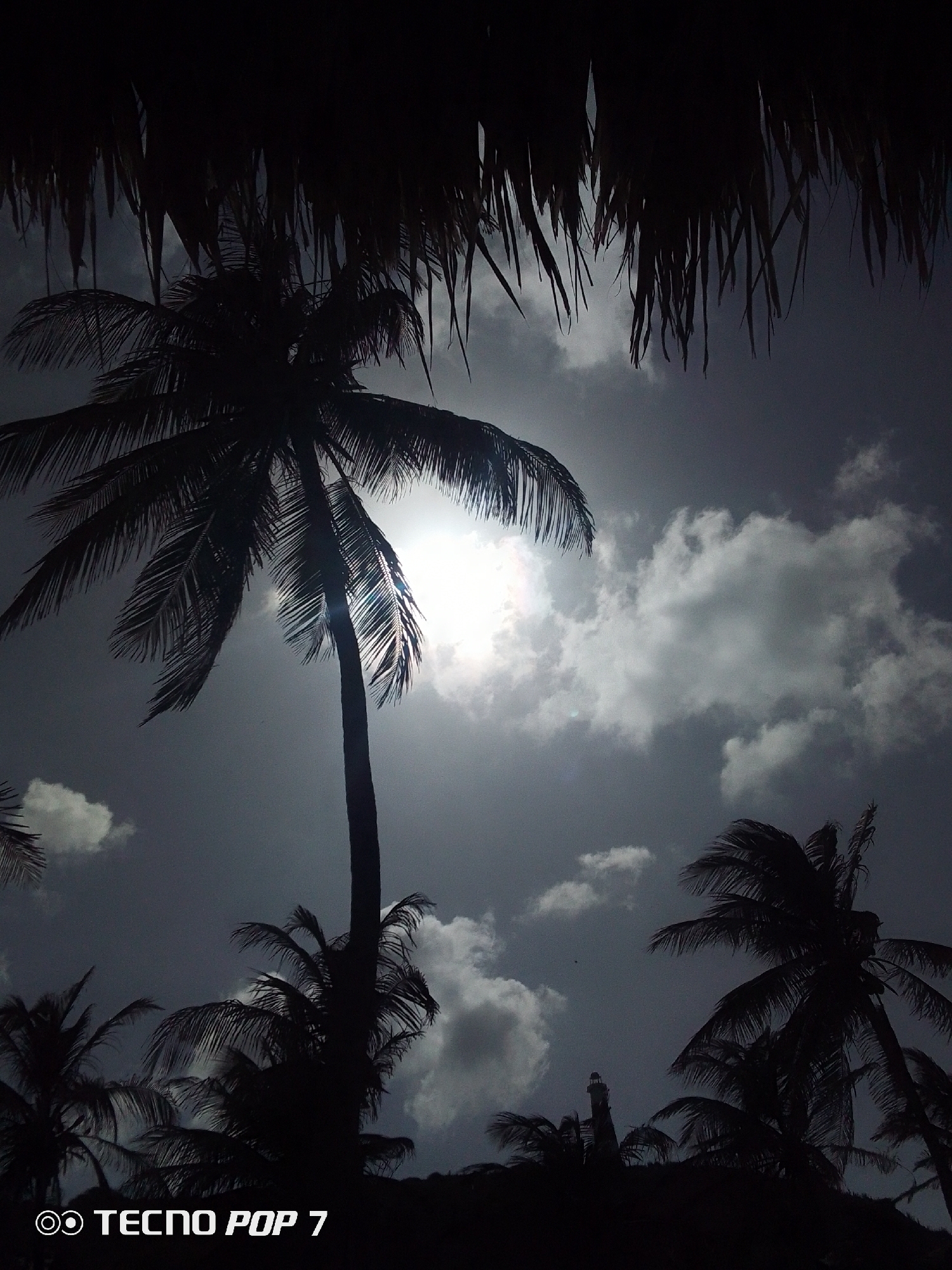 The image depicts a view towards the sky with palm trees in silhouette. The sun is visible through the clouds, creating a bright spot in the sky. The photo was taken from underneath what appears to be the thatched roof of a palapa.
In the lower portion of the image, several palm trees of varying heights are silhouetted against the sky. A lighthouse is faintly visible amongst these palm trees.
The location is near Pedro González, Venezuela. The words "TECNO POP 7" are printed on the bottom left corner of the picture.
