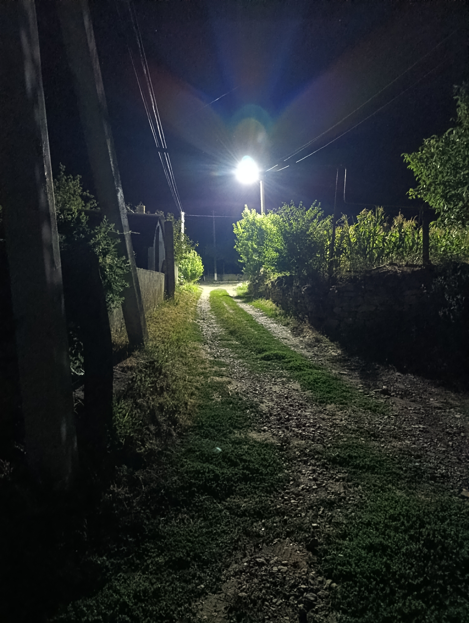 An outdoor nighttime scene depicts a gravel and grass path leading towards a distant bright streetlamp. The path is flanked by dense vegetation and a stone wall on the right, with a fence and corn stalks visible behind it. On the left, two large, dark, vertical posts stand prominently, with some greenery and a low wall partially obscured by them. The overall environment suggests a rural or semi-rural setting. The image does not contain any people or explicit actions. The streetlamp casts a strong glow, creating lens flare and illuminating the path and surrounding foliage. The location is identified as Roghi, Moldova, based on available metadata.