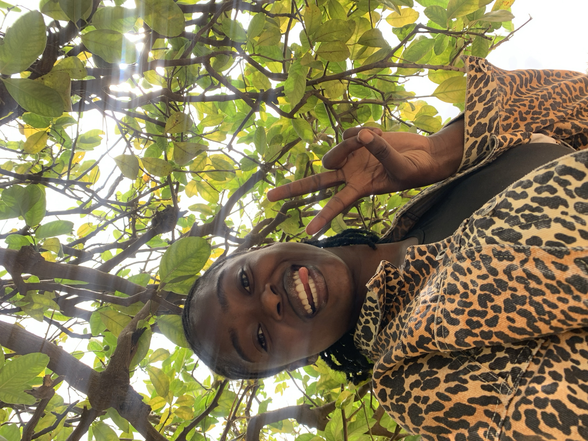 A young Black female is captured in a low-angle photograph, looking up at the camera from beneath a dense tree canopy in Kabong, Nigeria. She exhibits a broad smile, with her tongue slightly extended between her teeth, and her left hand displays a peace (V) sign. Her hair is dark and styled in braids or twists. She wears a leopard print jacket, predominantly tan/orange with black spots, over a dark undershirt. The background is composed of numerous tree branches and leaves, varying in shades of green and yellow-green. Bright natural sunlight streams through the foliage, creating visible lens flares and sun rays in the upper right quadrant of the image.