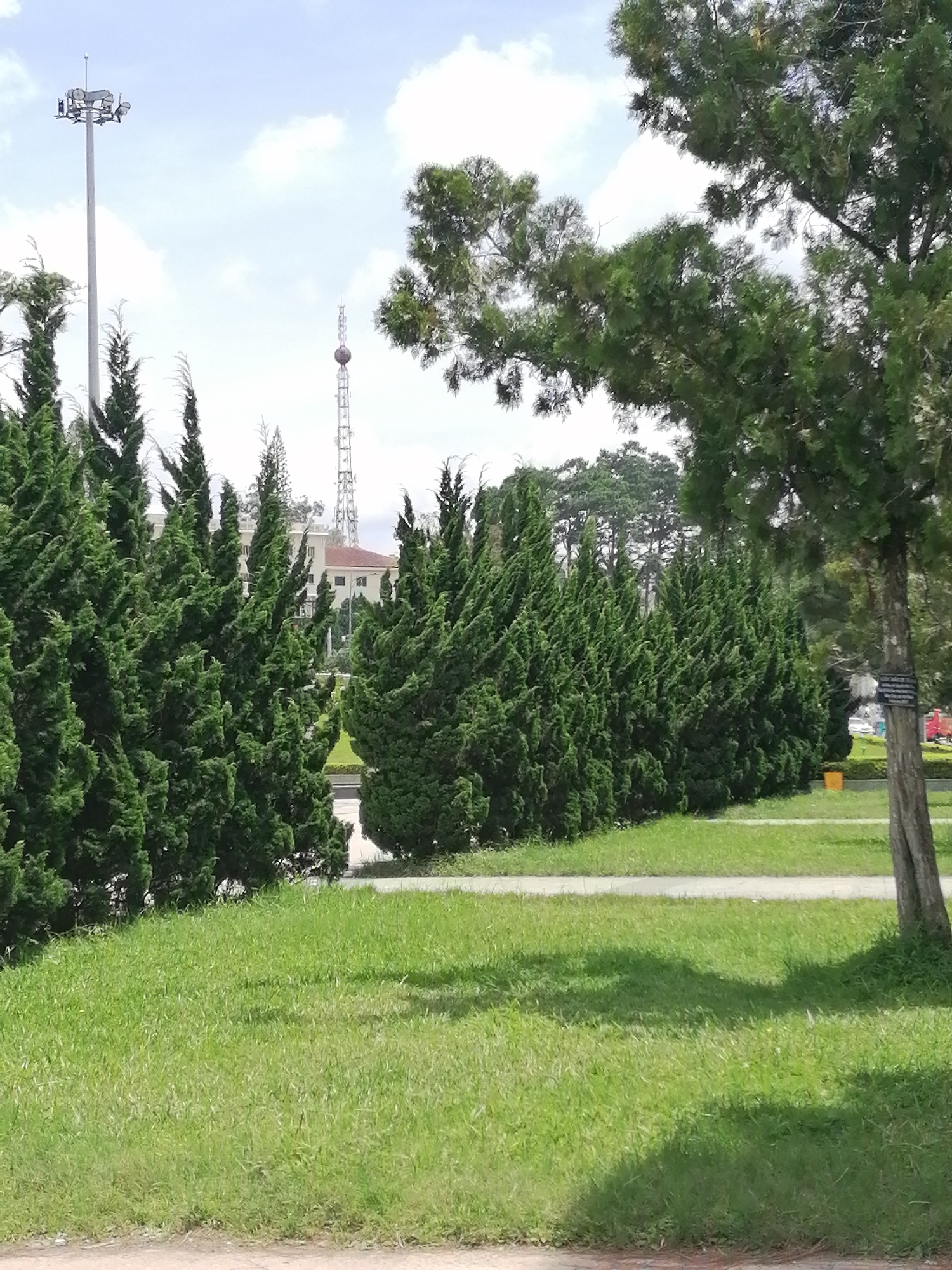 The image depicts a line of conical evergreen trees in the foreground, casting shadows on a well-maintained lawn. Beyond the trees, a paved pathway separates the lawn from another grassy area. In the middle ground, a light-colored building with a red-tiled roof is visible behind the trees. Further in the background, a tall, slender tower with a spherical antenna at its top stands against a cloudy sky. To the left of this tower, a much larger, thicker pole with multiple lights at its apex is also visible. The overall setting suggests an outdoor urban environment, likely a park or public space. The presence of the towers suggests a communication or broadcasting hub. This scene is likely located in Da Lat, Vietnam, a city known for its pine forests, cool climate, and numerous communication towers serving its highland region.