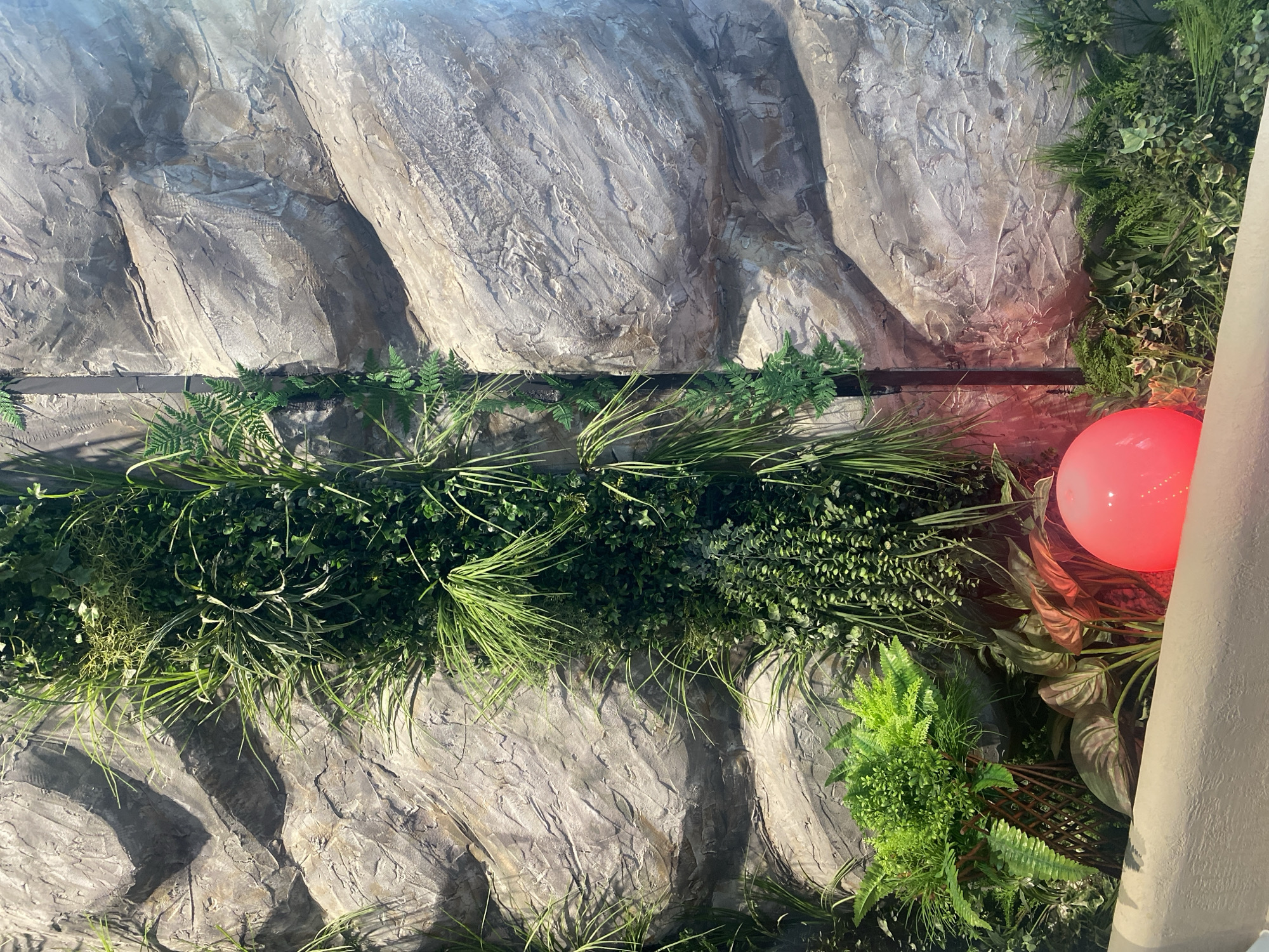 The image shows a close-up of a decorative rock wall covered with various artificial plants. The rock appears to be textured and colored in shades of gray and brown, with some lighter highlights suggesting a rough surface. A vertical strip of darker material, possibly a pipe or support, runs down the center-left of the image, partially obscured by the foliage.
The plants include lush green ferns, long, thin grass-like foliage, and smaller leafy plants. They are arranged in dense clusters, creating a naturalistic, jungle-like appearance. In the lower right portion of the image, a bright pink spherical object is visible, illuminated by a reddish light source, casting a warm glow on the surrounding greenery and rock.
The scene is indoors, as suggested by the consistent lighting and the controlled environment of the artificial plants. There are no people visible in the image. The overall impression is of a simulated natural environment, possibly a display in a zoo, aquarium, or a themed restaurant. The location in Berdsk, Russia, is not visually identifiable from the image itself, as there are no distinguishing landmarks or contextual clues.