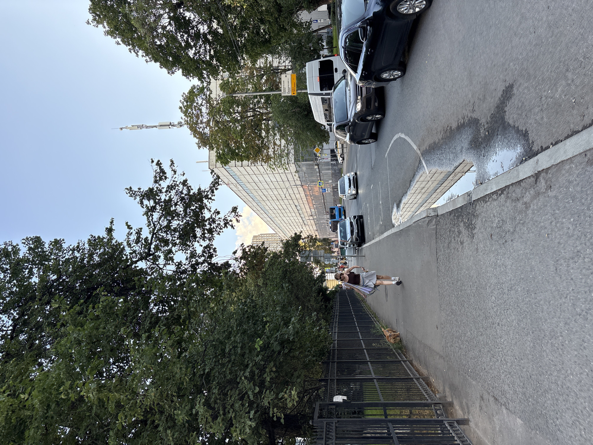 This is a medium shot of a sidewalk with a street running alongside it, in Moscow, Russia. The sky is clear and blue, with a few clouds visible. On the left side of the image, there is a black metal fence and a line of trees. A woman is walking her dog on the sidewalk. She is wearing a brown tank top and a gray skirt, and she is carrying a bag over her shoulder. The dog is a small, brown, short-haired breed. On the right side of the image, there are several cars driving on the street. There is a large, modern building in the background. The street has a puddle of water on it, reflecting the building. A cell tower is visible above the building.