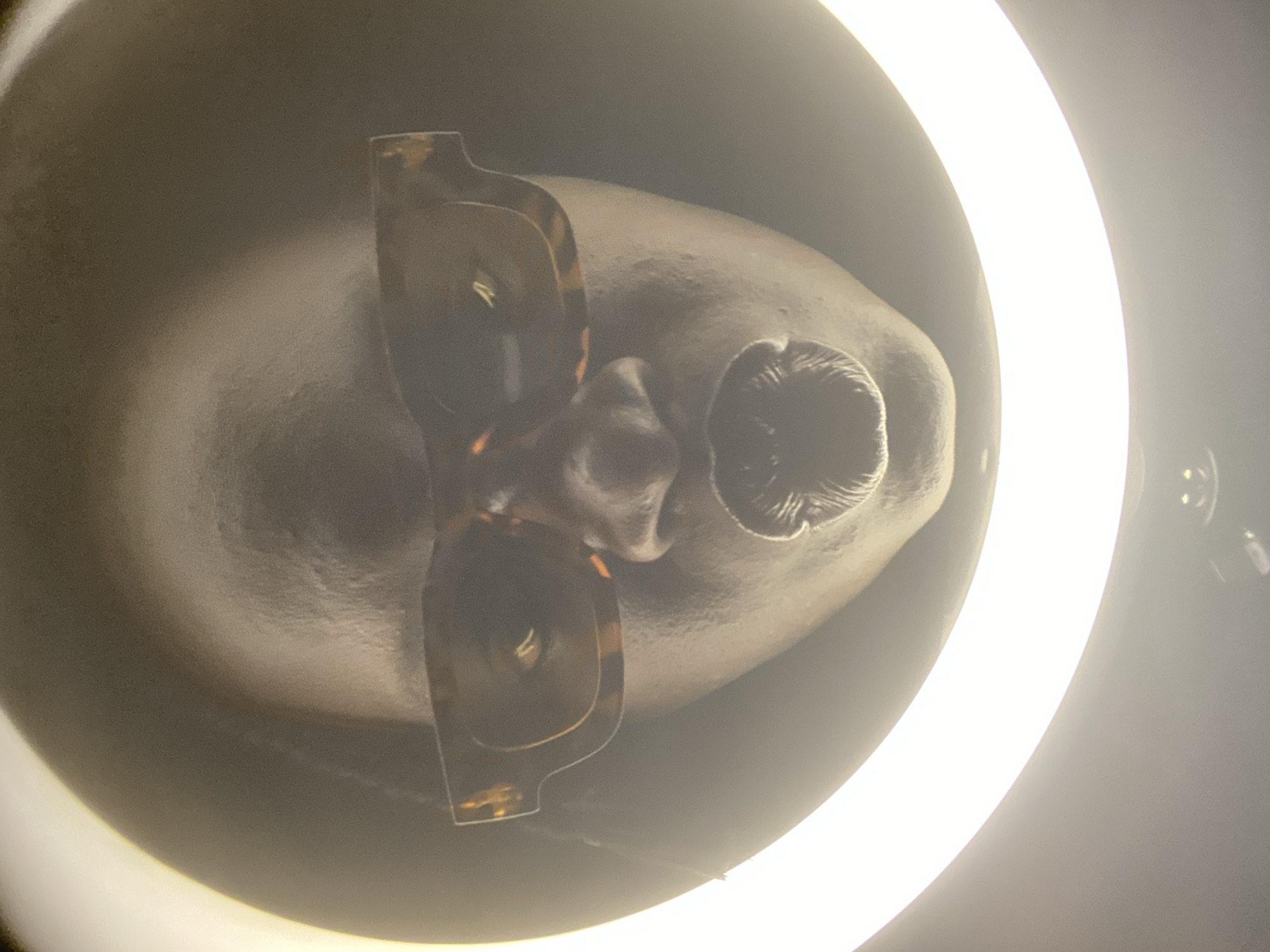 A top-down view of a mannequin head wearing glasses. The scene is lit by a ring light. No location details available, and the presence of people and interactions can't be assessed.