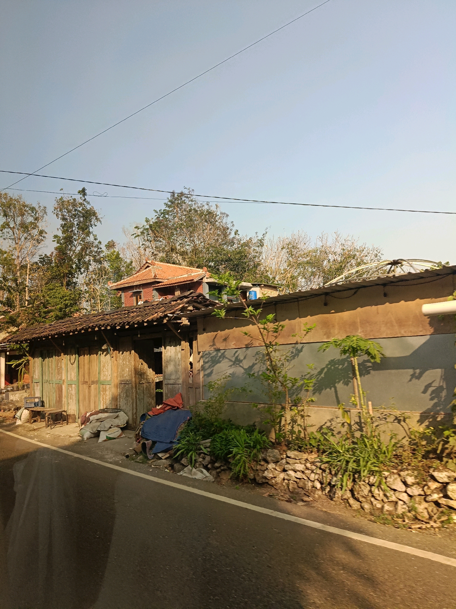 A daytime, eye-level outdoor photograph captures a scene in Purwosari, Indonesia. The foreground features a portion of an asphalt road with a white line. To the right of the road, a low, rough stone wall defines a boundary, beyond which are various green plants and trees, some with thin trunks and sparse foliage, casting dappled shadows on a textured, light brown wall. A vertical white pipe is visible on the far right of this wall.
The middle ground showcases a collection of structures. To the left, a weathered, light green wooden building with multiple sliding doors appears aged and in disrepair. Several items are piled near its entrance, including sacks, a blue tarp, and a small wooden table with a stool. Directly behind and slightly to the right of this wooden structure, a two-story building with a distinctive reddish-orange tile roof stands out. This building has darker brickwork on its upper level and small windows. Extending from the front of the wooden building and behind it, a long, low roof made of corrugated metal and old tiles shelters the structure.
The background is dominated by a dense collection of trees, with varying shades of green and some bare branches, against a clear, pale blue sky. Overhead, two black wires are strung across the sky. The overall impression is one of a rural or semi-rural setting with a mix of older, possibly abandoned or under-maintained buildings and natural vegetation.