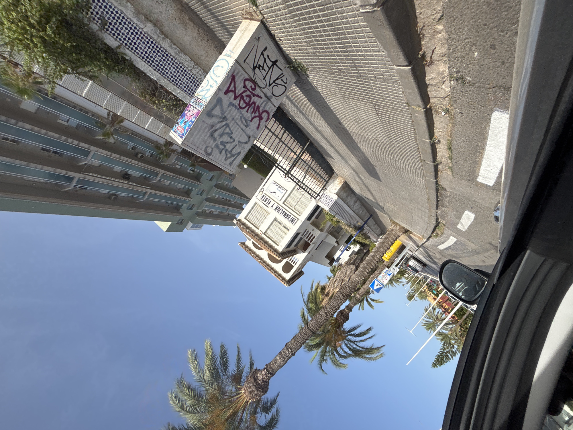 This is a ground-level, wide-angle, fisheye lens shot taken on a sunny day in the city of Orihuela, Spain, likely in a coastal or resort area. The perspective is from inside a vehicle, looking forward and to the right.
Dominating the left side of the frame is a tall, mature palm tree with a thick trunk and fronds extending upwards. To the right of the palm tree, a smaller palm tree is visible. Beyond the palm trees, a building with a white facade and arched windows is situated. A sign on this building reads "INFORMACION Y VENTA CABO ROIG."
In the background, a tall, multi-story building with a light green facade and numerous balconies is visible. The balconies have horizontal blue-tinted glass or railings. Adjacent to the taller building, a section of wall is decorated with blue and white checkered tiles. In front of the white building, a metal gate is present, and a concrete structure or planter box next to it is covered in graffiti in various colors, including pink, blue, and black.
The foreground shows the interior of a vehicle, specifically the driver's side window frame and the side mirror. The street surface is paved with concrete tiles and asphalt. White painted road markings are visible on the asphalt. Traffic signs, including a blue and white directional sign and a yellow pole with multiple signs, are present on the side of the road. The sky is clear and blue. The overall scene suggests a typical streetscape in a Mediterranean town, characterized by palm trees, white buildings, and sunny weather.