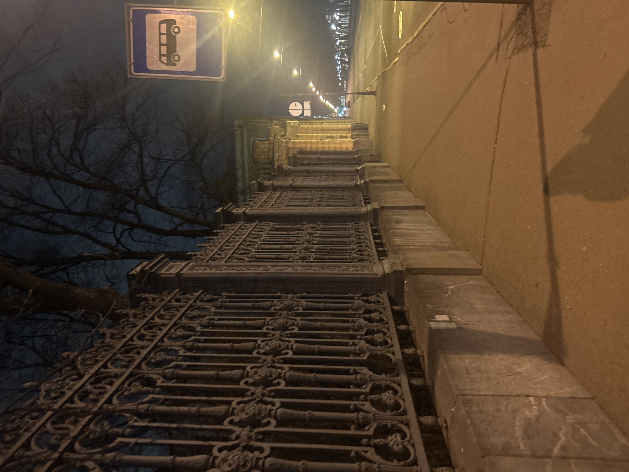 The image captures a nocturnal urban scene, likely an embankment or bridge in Saint Petersburg, Russia. The perspective looks along a street or pathway stretching into the distance, illuminated by artificial light.
In the foreground and running along the left side, an ornate, dark metal fence with intricate scrollwork and decorative elements forms a prominent barrier. Behind this fence, the dark, bare branches of a large tree are silhouetted against a deep blue-grey night sky. To the right of the fence, a substantial stone or concrete wall or parapet extends along the path.
The ground surface, appearing as a sidewalk or road, is bathed in the warm, yellow-orange glow of numerous streetlights that recede into the background. The artificial lighting creates strong highlights and shadows, particularly on the textured surface.
A blue square sign with a white border and a clear white pictogram of a bus is mounted on a pole near the left, indicating a bus stop. Further down the illuminated road, a circular white sign with a thick black horizontal bar and a thinner vertical black bar is visible, typically used to denote 'no stopping' or 'no parking' restrictions. Distant lights suggest more urban development or structures beyond the visible stretch of road.
The scene is quiet and devoid of people, conveying a tranquil atmosphere. The time of day is clearly night, as evidenced by the dark sky and reliance on street illumination. The distinctive, decorative fence and robust stonework hint at historical architecture common in European cities like Saint Petersburg.