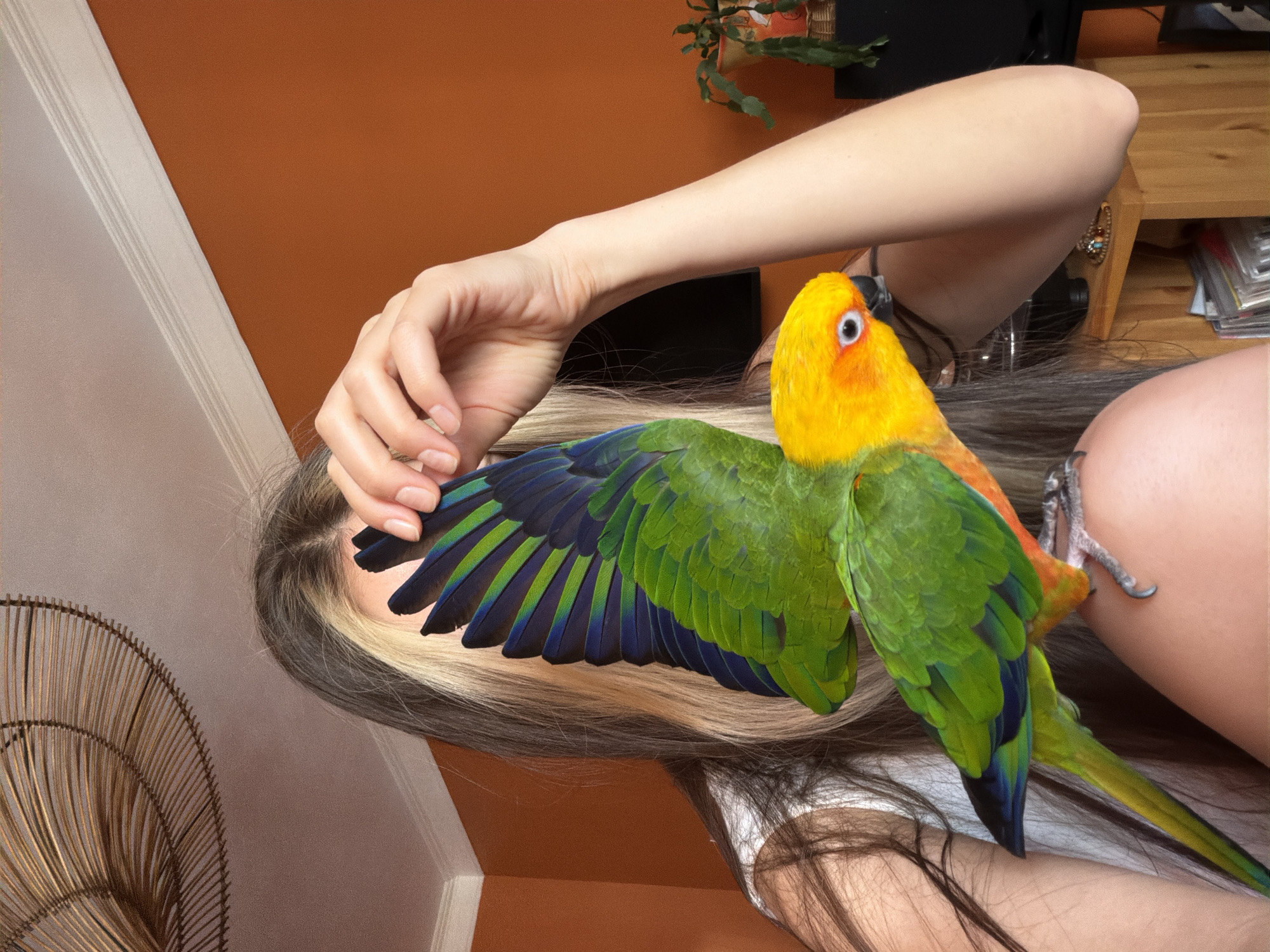 A woman is lying down indoors, cradling a parrot on her shoulder. The parrot is a colorful bird with a yellow head, green body, and blue-tipped wings. The woman is touching the parrot's wing with her hand. A fan is visible in the bottom left corner, and a wooden shelf with items on it is in the background. The wall is painted orange in the upper portion and white in the lower portion. The location in the city of Khimki, Russia is not evident from the image.