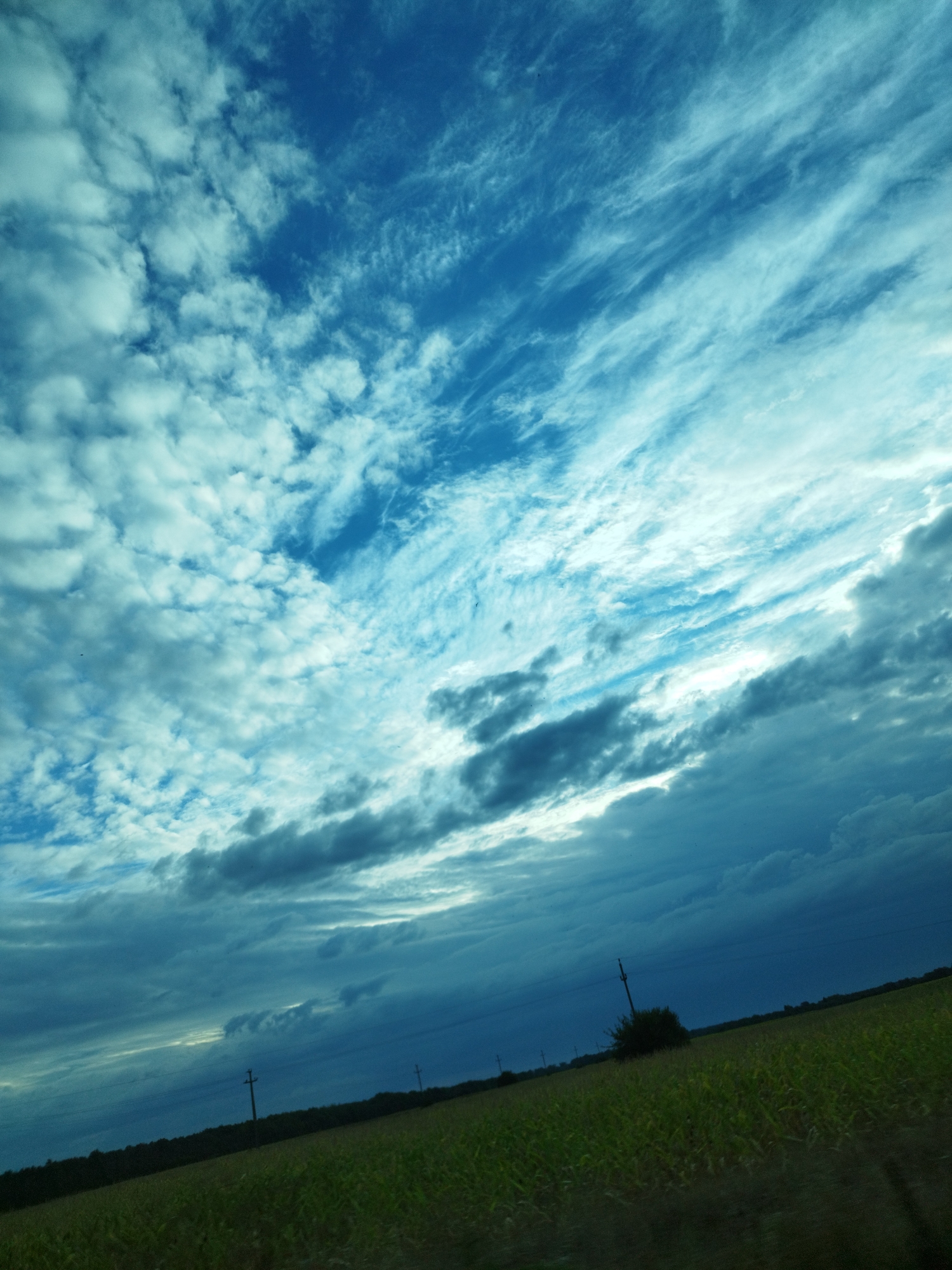 This is a ground-level, wide-angle photograph taken outdoors, likely from a moving vehicle, depicting a rural landscape under a dramatic sky. The scene is located in Moara Nouă, Romania. The top two-thirds of the image are dominated by a vast sky filled with dynamic clouds. Lighter, wispy clouds with a blueish-white hue are interspersed with darker, more textured, and intense blue clouds. The clouds are arranged in streaks and formations that suggest wind movement and varying atmospheric conditions. A bright, diffused light source is visible breaking through the cloud cover, casting a glow and highlighting the cloud textures.
The bottom third of the image shows a cultivated field, appearing to be crops such as corn, with green stalks stretching across the foreground. The field slopes gently upward towards a distant tree line. Several utility poles are visible along the horizon line, with thin wires connecting them. One pole is prominent in the middle ground, and another is further to the right. A dark, bushy tree is situated behind the middle ground pole. The overall impression is of a slightly overcast or stormy day in a rural setting.