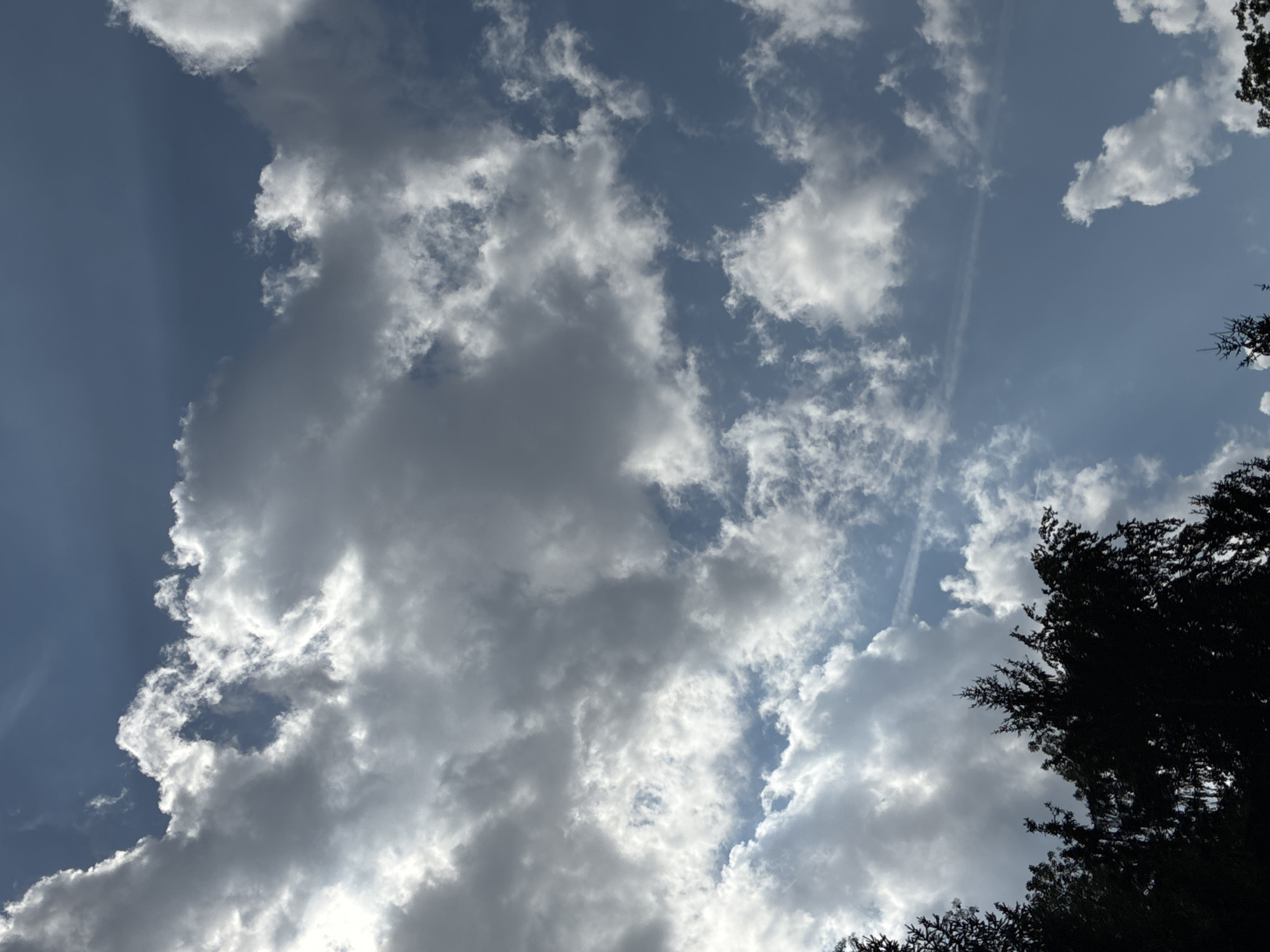 The image is a low-angle shot looking up at a sky filled with dramatic, volumetric clouds against a bright blue sky. The sun is partially obscured by the clouds, casting a bright, diffused light. There are silhouetted treetops in the foreground, suggesting a natural or park-like setting within the city of Bad Hersfeld, Germany. The clouds appear to be cumulus and stratocumulus formations, with some wispy cirrus clouds higher up and a faint contrail visible in the upper right quadrant. The overall mood is serene and contemplative, with the dynamic sky dominating the composition. There are no people or visible objects other than the trees and sky.