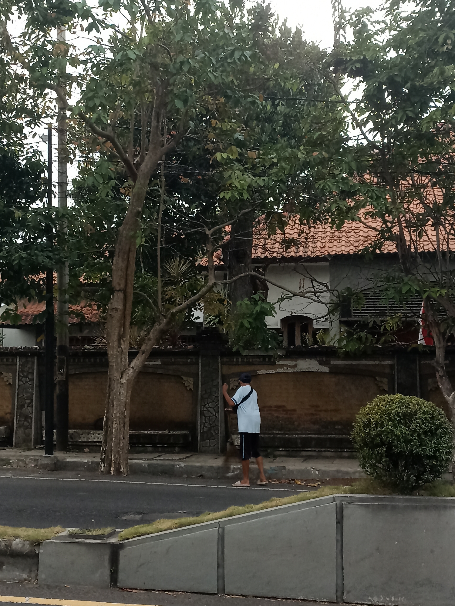 A person wearing a blue shirt, black shorts, and a blue cap is standing on the side of a road in Mojopanggung, Indonesia. The person appears to be cleaning or interacting with a wall. The road is paved and has a concrete curb. Behind the wall, there is a building with a red tiled roof and foliage from trees. A small, rounded bush is also visible near the wall. The scene is outdoors during daylight.