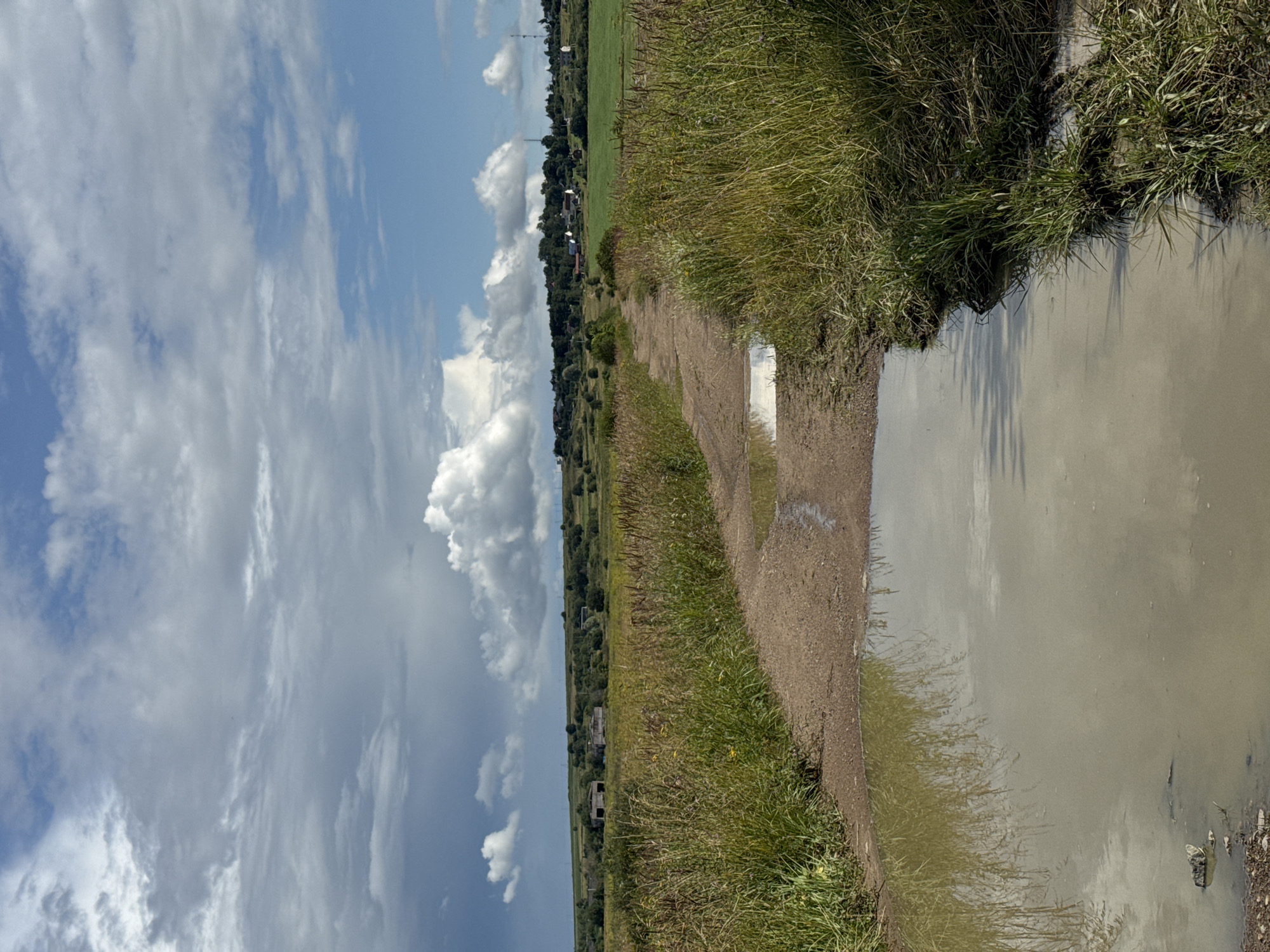 The image depicts a rural landscape with a dirt road leading through tall grass. Puddles of water are present on the road, reflecting the sky and surrounding vegetation. In the distance, a cluster of buildings, likely farm structures, can be seen nestled amongst trees and rolling hills. The sky is partly cloudy, with dramatic formations of white and grey clouds against a blue background. The overall impression is one of a slightly overcast day in a tranquil, undeveloped area. This scene is located in the village of Kempelevo, Russia.