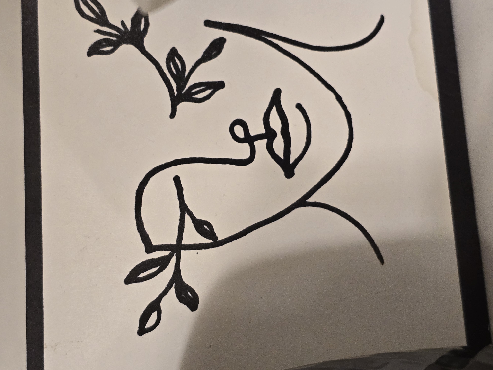 A close-up photograph shows a black line drawing on a white surface, framed by a black border. The drawing appears to be a minimalist representation of a face intertwined with botanical elements. The face is suggested by a continuous line forming the brow, nose, cheek, and jawline, with a looped element possibly indicating the eye. Leafy branches are incorporated into the design at the upper left and lower left, and an additional leaf-like shape is positioned near the "nose" area of the face. The location is unknown.