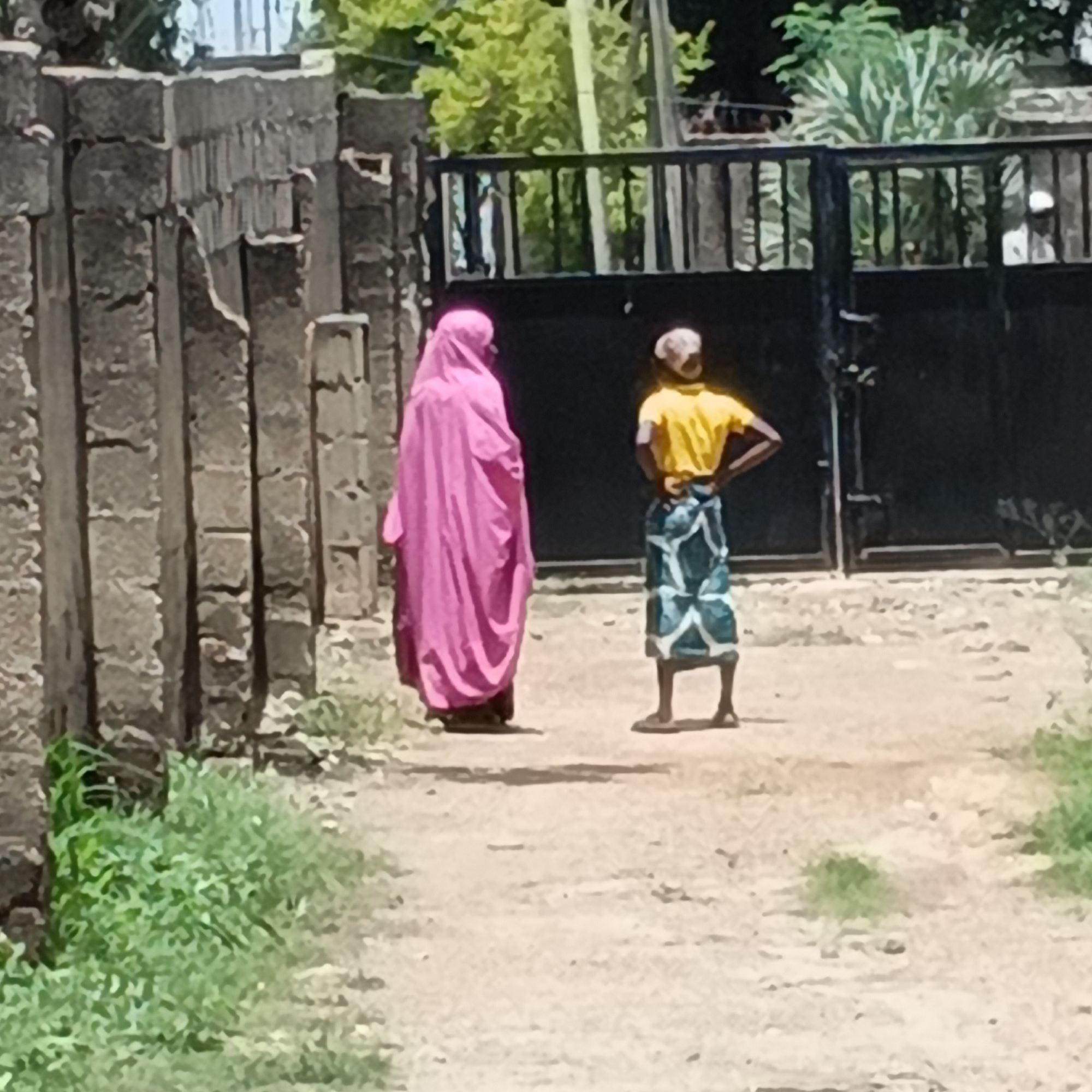 The image depicts an outdoor scene in Shaba, Nigeria. Two individuals are visible. On the left, a person is wearing a bright pink, flowing garment that covers their entire body, including their head. Their feet are visible, wearing dark sandals. To the right, a second person is seen from behind, wearing a bright yellow t-shirt and a patterned wrap skirt in blue and white. This person is also wearing sandals. They are standing on a dirt or gravel path. In the background, there is a dark metal gate, and beyond that, lush green foliage. To the left of the scene, there is a rough, stone wall. The overall environment suggests a warm, possibly rural or semi-urban setting.