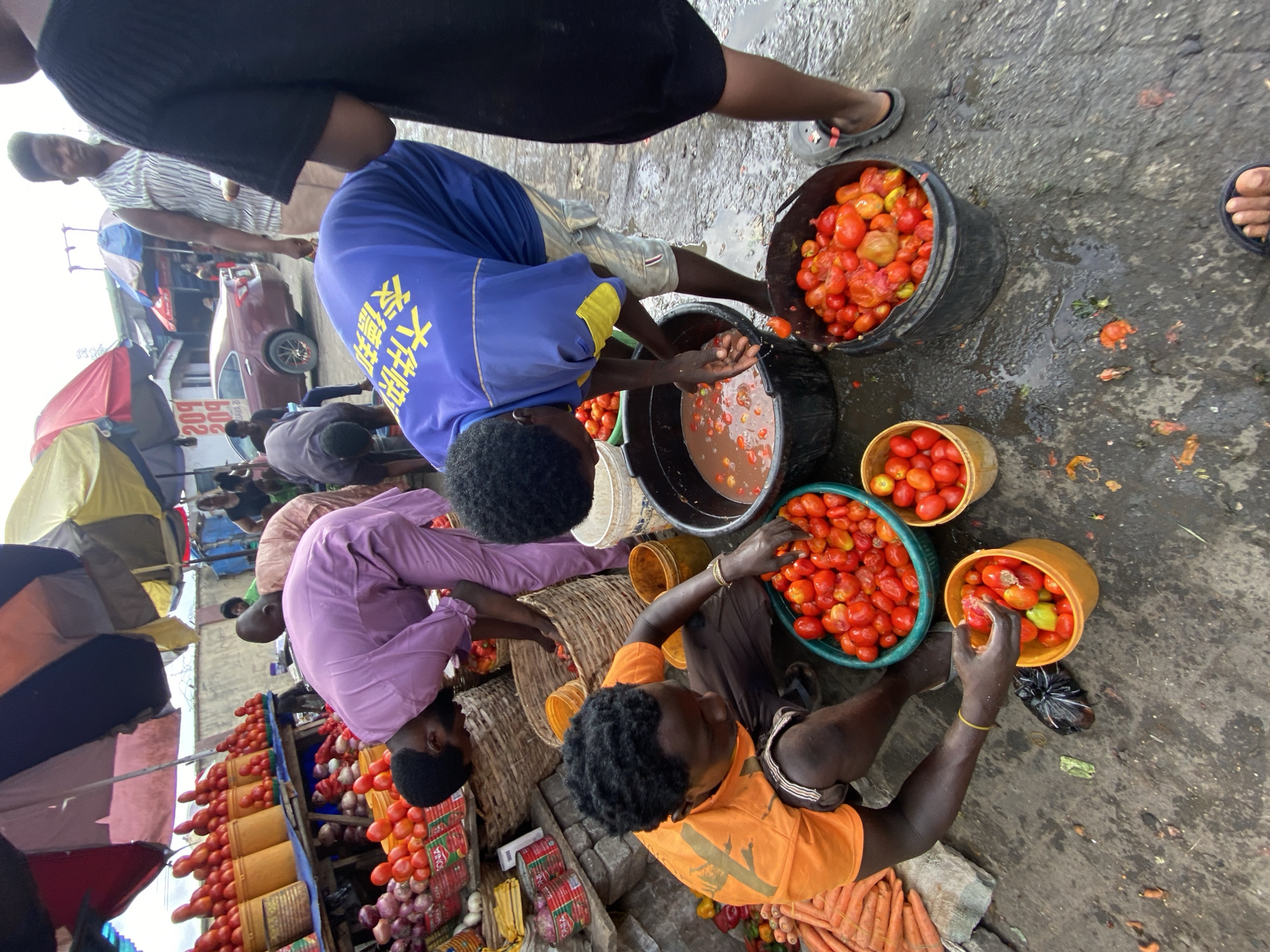 The image depicts an outdoor scene in Lekki, Nigeria, likely a marketplace. Several people are gathered around buckets and baskets of tomatoes. One person in a blue shirt with yellow writing is sorting tomatoes, transferring them between buckets. Another person in a lilac-colored shirt is reaching towards a basket of tomatoes displayed alongside onions. A third person, wearing an orange shirt, is also sorting through tomatoes. The ground is wet and littered with tomato debris. To the side, tomatoes are arranged for sale in buckets. In the background, blurred figures and a car are visible, suggesting a busy market environment.