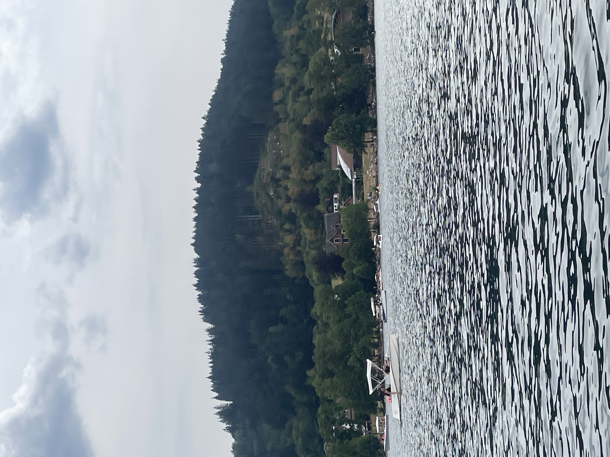 The image depicts a panoramic view of a lake, likely Lake Gérardmer, in Gérardmer, France, under an overcast sky. The foreground is dominated by the rippling surface of the water, reflecting the muted light. In the middle ground, several small motorboats are scattered across the lake, some with passengers visible. One boat in the foreground has a white canopy and at least two individuals aboard. Further back, along the shoreline, a dense forest covers a hillside, with scattered buildings nestled amongst the trees. The architecture of the visible buildings suggests a residential or recreational area. The overall atmosphere is calm and serene, indicative of a leisurely day at the lake.
