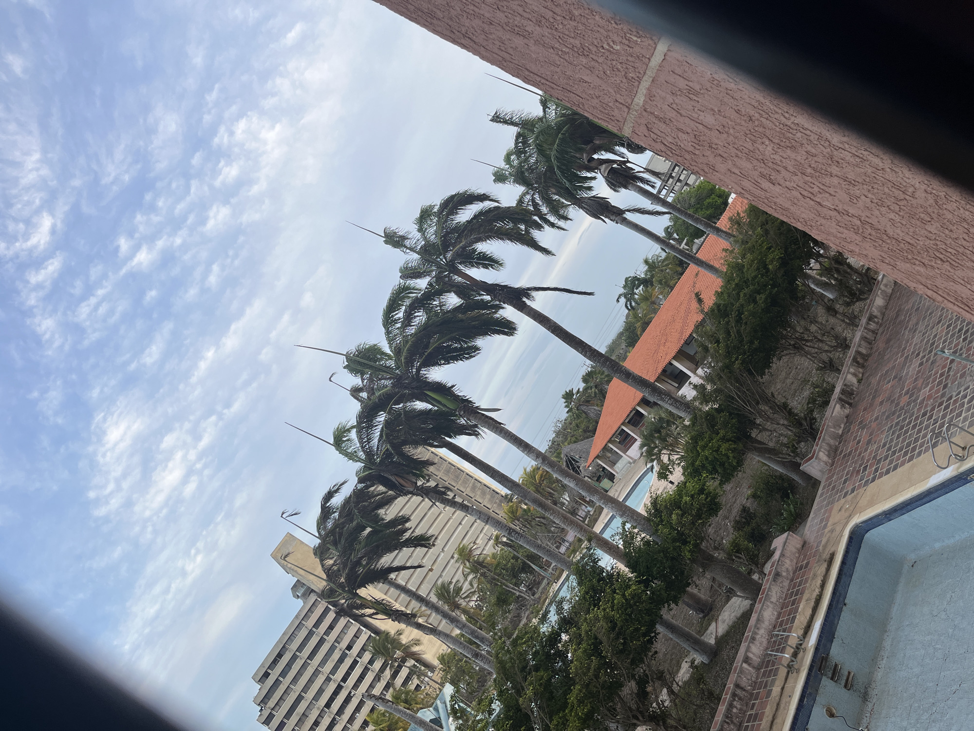 This image captures a tropical resort-like setting, likely in Porlamar, Venezuela, viewed from an elevated perspective. The bright blue sky is adorned with scattered white, wispy clouds, indicating clear daytime conditions.
Numerous tall palm trees with green fronds are prominent throughout the scene, stretching from the middle ground into the distance. In the background, a large, multi-story building with numerous windows, possibly a hotel or apartment complex, is visible. To the right, a cluster of lower-rise buildings featuring distinctive terracotta roofs and white columns suggests resort villas or communal facilities.
In the foreground, a textured reddish-brown wall flanks the right side of the frame, alongside a patterned brick walkway. Immediately below, a large, empty swimming pool with blue mosaic tiles and metal ladders is partially visible, giving a sense of disuse or off-season quiet. Another smaller, also empty pool can be seen further back near the terracotta-roofed buildings. Lush green bushes and smaller trees are interspersed between the various structures and around the pool areas.
The scene appears devoid of people or activity, contributing to a tranquil, almost deserted atmosphere. The empty pools hint at a period of closure, renovation, or off-season. No visible text is present in the image.