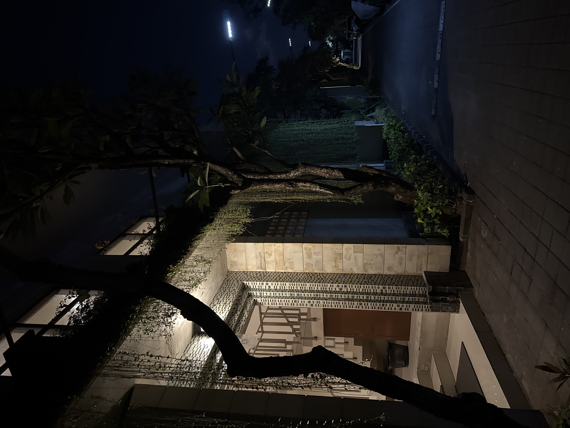 The image depicts a night scene in Denpasar, Indonesia, along a paved walkway adjacent to a modern building with lush greenery. A prominent tree trunk with exposed roots is in the foreground, partially obscuring the entrance to a building. The building features a white facade adorned with a mosaic tile accent around the entrance. Inside the entrance, a staircase with a light-colored railing is visible, leading upwards. Hanging vines cascade from the building's upper level, adding to the ambiance.
The walkway extends into the distance, lined with manicured bushes and trees. Several streetlights illuminate the path, casting a cool glow on the scene. A few cars are parked along the right side of the walkway, some covered with tarps. The sky is dark and clear, indicating nighttime. The overall impression is one of a well-maintained, tranquil urban environment.