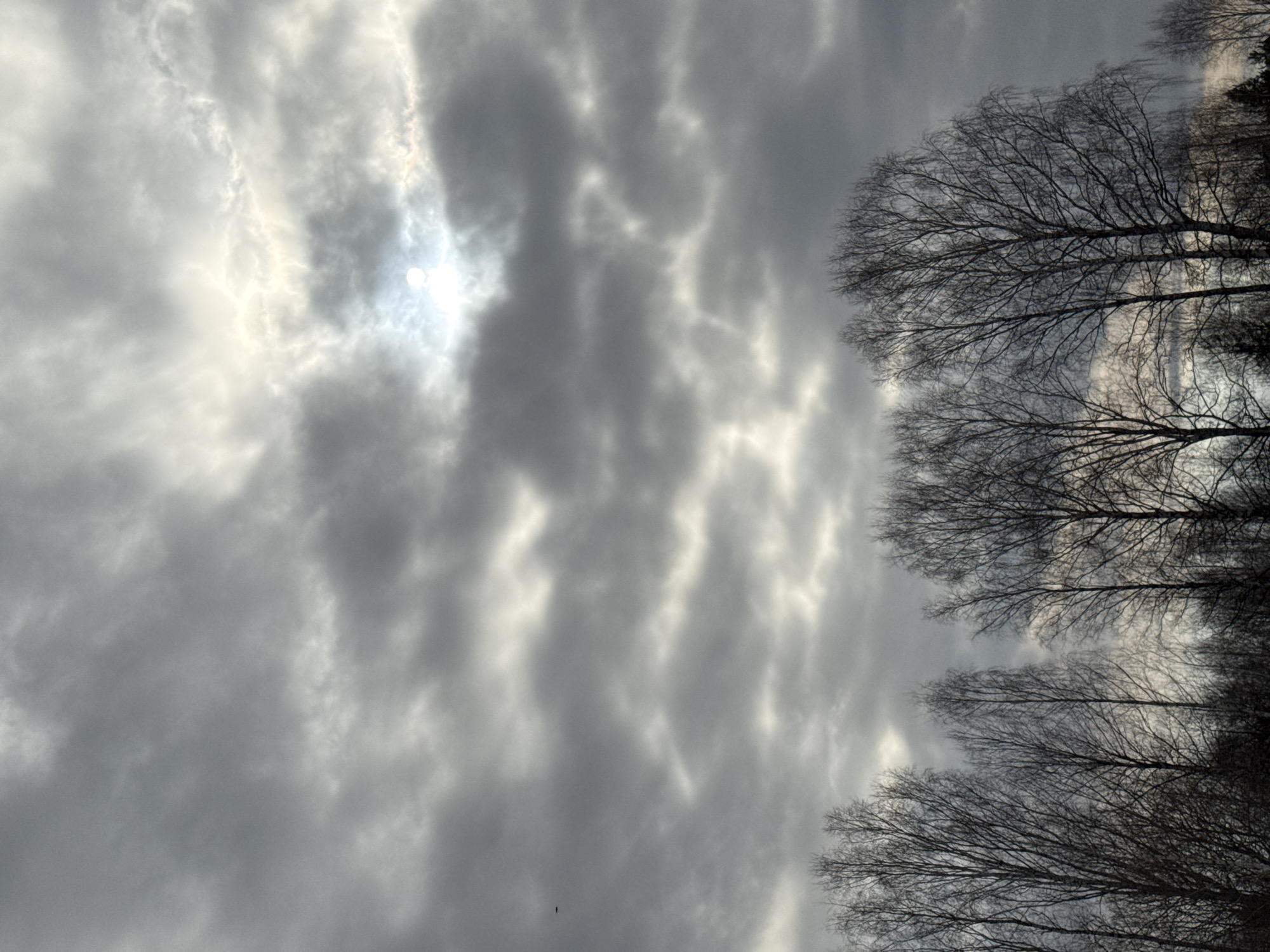 The image shows a cloudy sky with a visible sun obscured by clouds in the upper left quadrant. To the right of the sky, silhouettes of bare trees are visible, potentially indicating winter or early spring. No people or any obvious city elements are discernible. Based on the prompt, the location is Вассята, Russia, but this is not visually confirmed in the image.