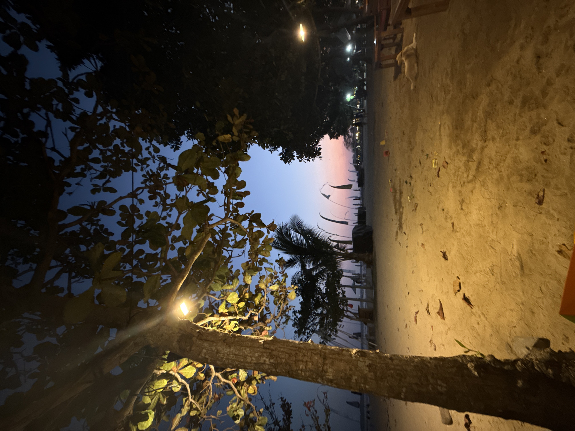 A view of a sandy beach in Denpasar, Indonesia, during dusk. The sky exhibits a gradient of blues and pinks, transitioning from twilight to night. In the foreground, a large tree trunk is illuminated by a warm-toned light. Leaves from the tree canopy cast shadows across the sand. Scattered on the sand are fallen leaves and a few small, colorful objects, possibly toys. In the middle ground, several palm trees and other foliage are visible, along with beach umbrellas and flags. Some figures can be seen walking on the beach in the distance. To the right, wooden tables and benches are set up, and a light-colored dog is resting on the sand. Several other lights are visible in the background, suggesting the presence of establishments.