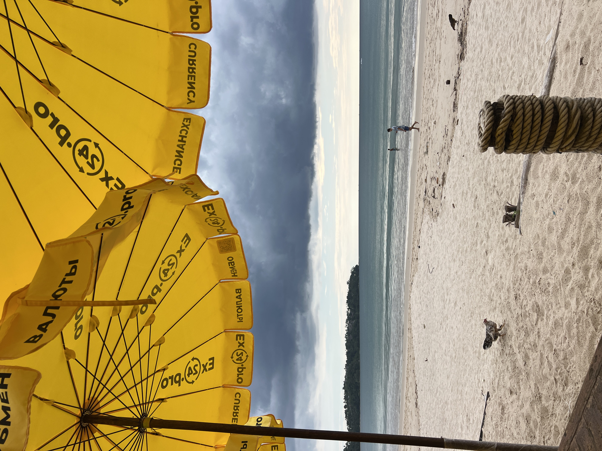Here is a forensic description of the image:
**Scene:** A beach scene, likely a tropical location, based on the sandy beach, vegetation in the distance, and sky. The perspective is from under beach umbrellas, with a focus on the beach itself.
**Environment:** The sky shows both dark, stormy clouds and clear blue areas. The ocean appears calm with small waves. The beach is sandy and there are some signs of vegetation on the sand itself.
**Objects:**
* Yellow beach umbrellas, branded with "EX (AS) blo." in Cyrillic text.
* A thick rope tied around a post.
* Birds on the beach, possibly chickens or similar fowl.
**People:**
* Two figures are visible in the distance near the water. They seem to be walking along the shoreline.
**Actions/Interactions:**
* The people are walking along the beach.
* The birds are foraging on the sand.
* The umbrellas provide shade on the beach.
**Other Details:** The text on the umbrellas includes the words "EXCHANGE" and "CURRENCY" in Cyrillic, suggesting a connection to money exchange services.