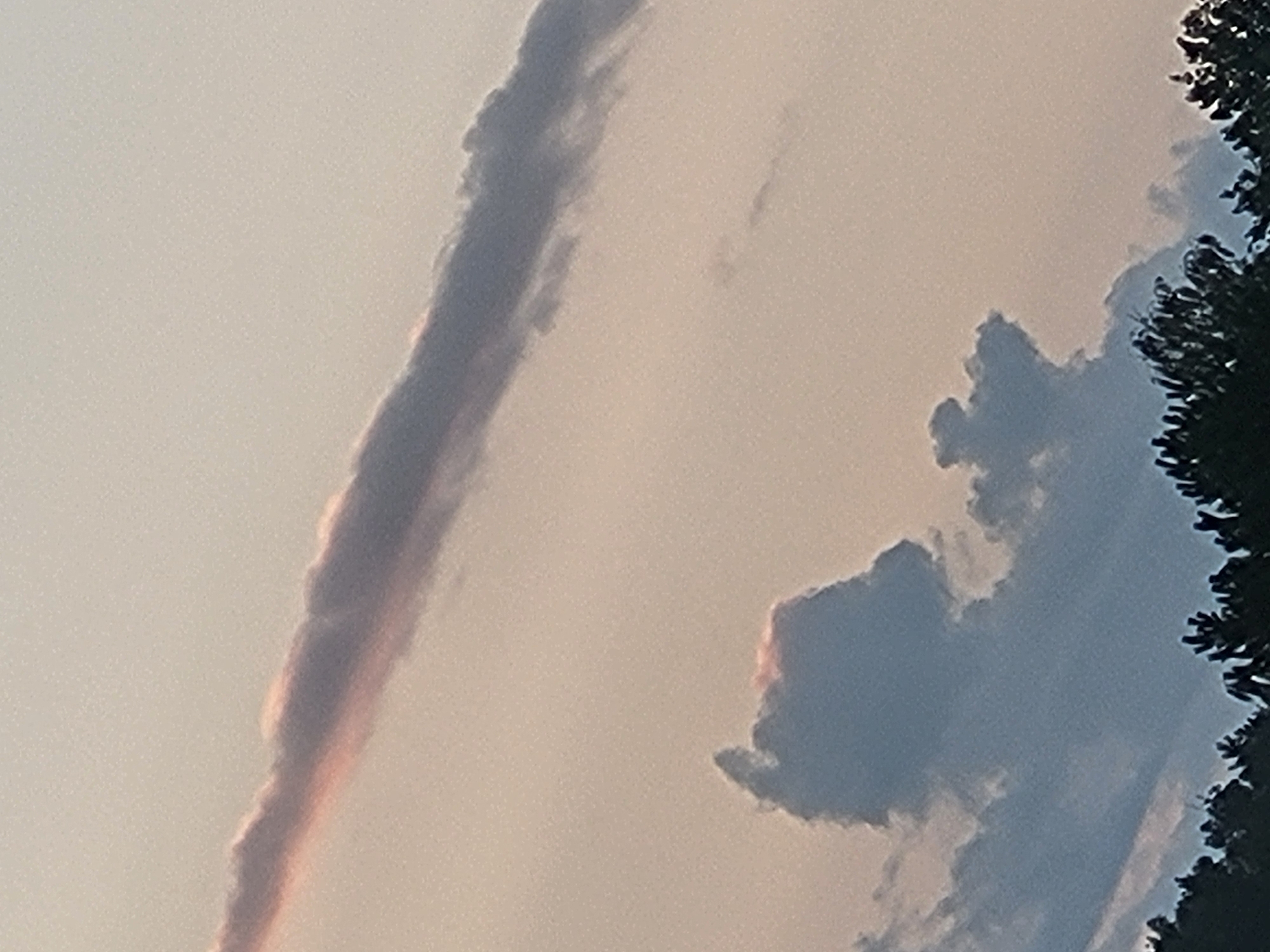 An outdoor photograph captures a cloudy sky with subtle pink and orange hues, suggesting either sunrise or sunset. A long, thin cloud stretches diagonally across the upper portion of the frame, illuminated from below with a reddish-pink glow. Below this, in the middle ground, a darker, more substantial cloud formation resembles a silhouette of a face or animal head. The lower edge of the image is bordered by the dark green tops of pine trees, indicating a forested or suburban environment. The overall impression is one of a serene, natural scene. The photograph was taken in Ozolnieki, Latvia.