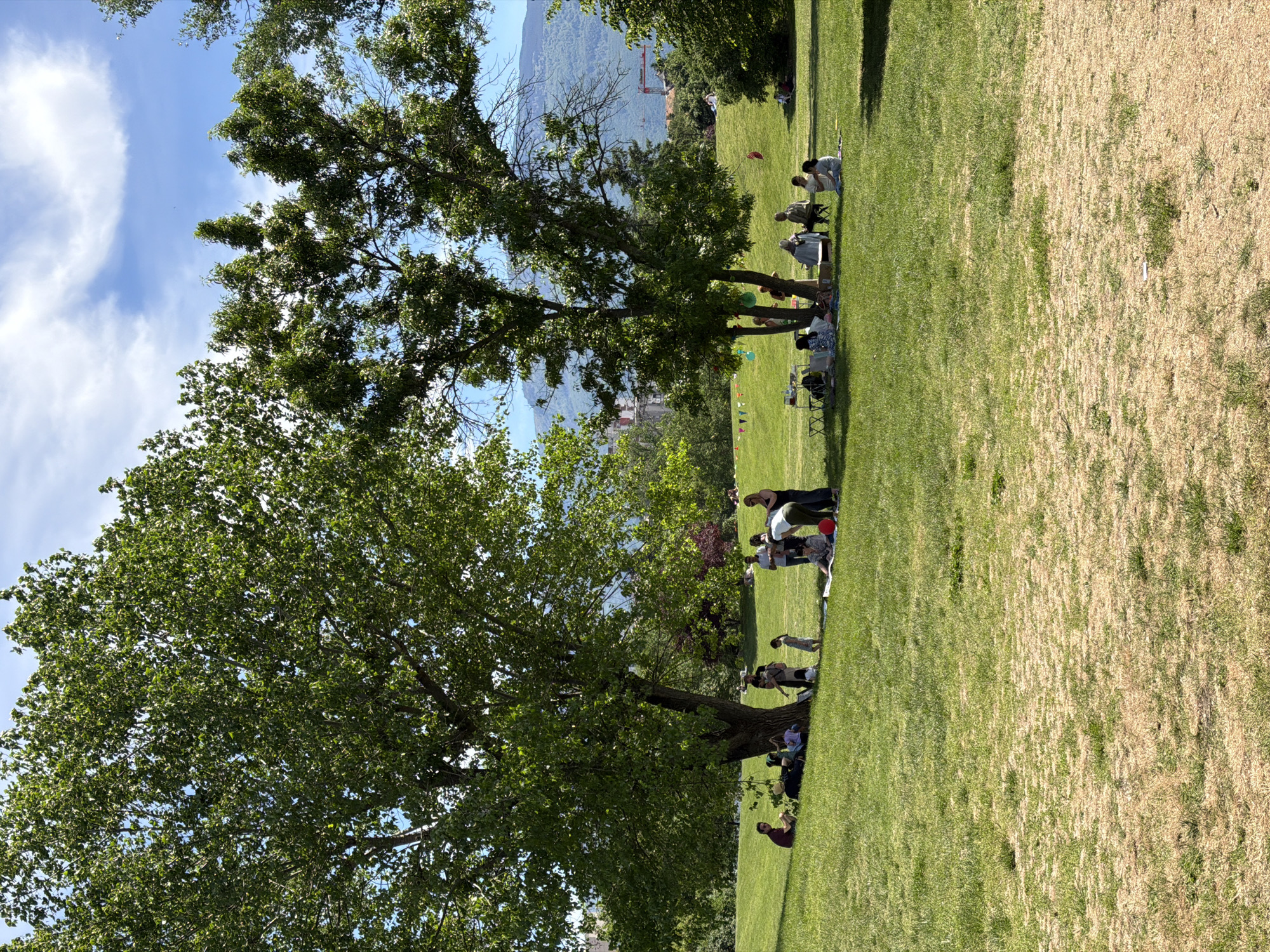 The scene is set in a grassy park with several large trees casting shadows. People are gathered in small groups, some sitting on the grass or chairs. Trees line the left and center of the image, with a mountain range faintly visible in the background. The grass transitions from lush green on the left to drier, brown patches on the right. A few white clouds are visible in the blue sky. Given the presence of a mountain range in the background, the park is likely located at a higher altitude relative to the city, which could correspond to the area around Vitosha mountain in Sofia, Bulgaria.
