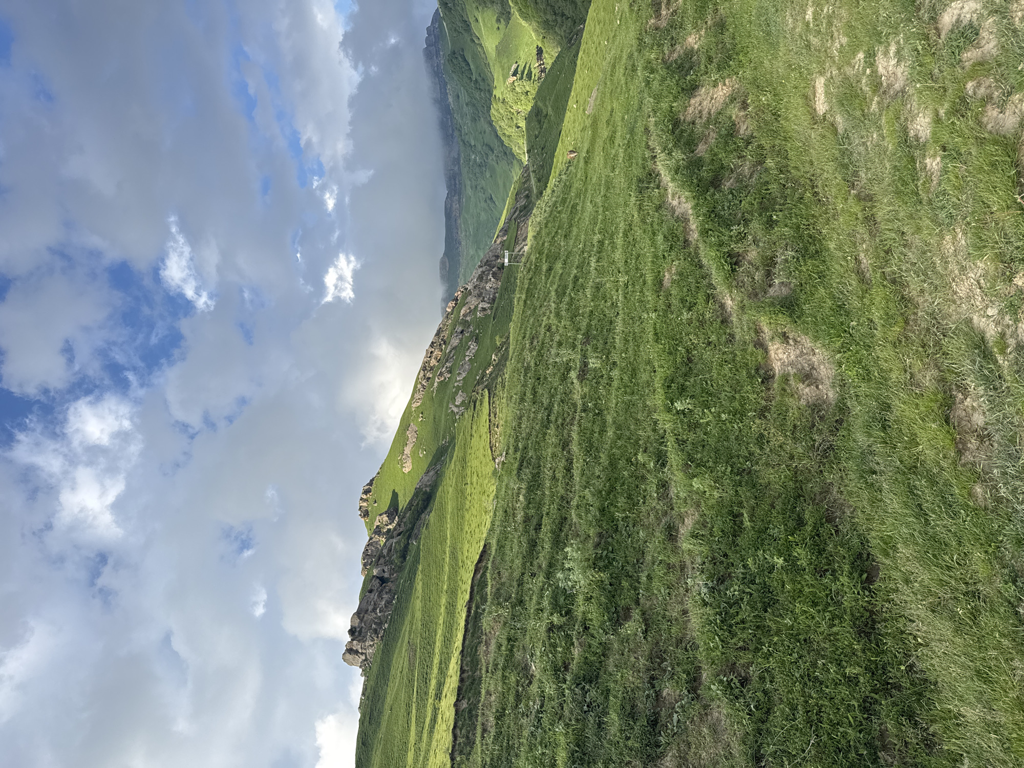 A vast, rolling green mountain landscape is captured under a dramatic sky filled with puffy white and gray clouds. The foreground is dominated by a grassy slope with visible tire tracks or worn paths leading up and across it. In the mid-ground, a steeper, lush green mountainside rises, dotted with rocky outcrops and patches of exposed earth. Further in the distance, more mountainous terrain unfolds, with valleys carved into the landscape, some of which are shrouded in mist or cloud cover, creating a sense of depth and scale. The light suggests it is either early morning or late afternoon, with shadows cast across the slopes. The scene appears to be in a natural, undeveloped area, likely a remote mountain region in or near Верхняя Мара, Russia, given the terrain and vegetation. There are no people or animals immediately visible in the foreground or mid-ground, though a small, reddish-brown shape, possibly an animal, can be seen grazing in the distance on the right side of the image. A signpost is visible on a road or path in the mid-distance on the left.