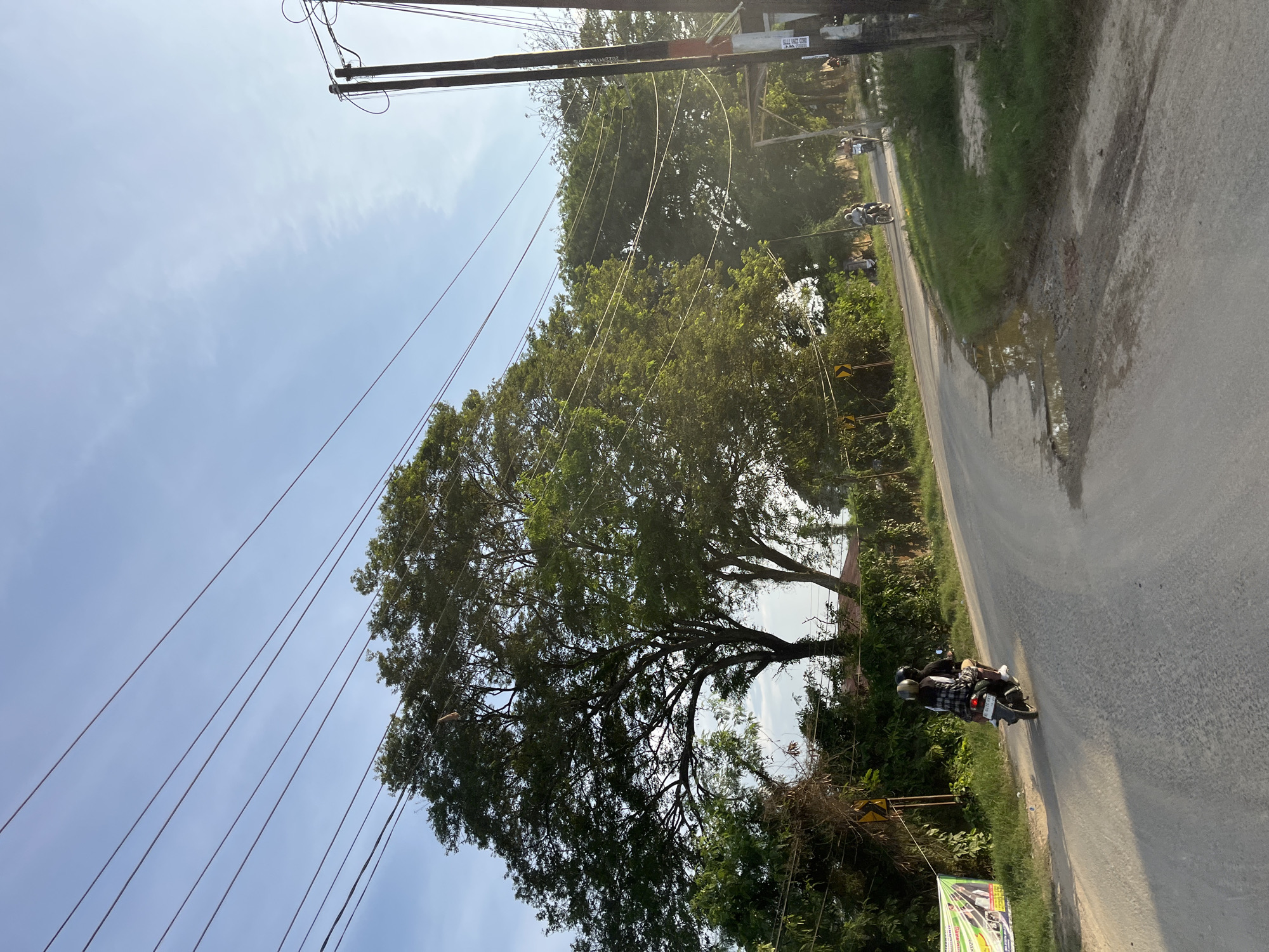 The image depicts a rural road in Alurcucur, Indonesia, on a clear day. The road is paved with some patches of gravel and features puddles from recent rain. A large, leafy tree dominates the left side of the frame, with its branches extending over the road. Power lines crisscross the sky, supported by wooden poles on the right side of the image. Two people are riding a motorcycle on the road, with one person driving and the other as a passenger. Further down the road, two more motorcycles are visible, each with a single rider. The surrounding vegetation includes lush green bushes and trees. A banner is affixed to a post on the left side of the road, and a yellow directional sign is also visible. The overall scene suggests a typical day in a rural Indonesian community.