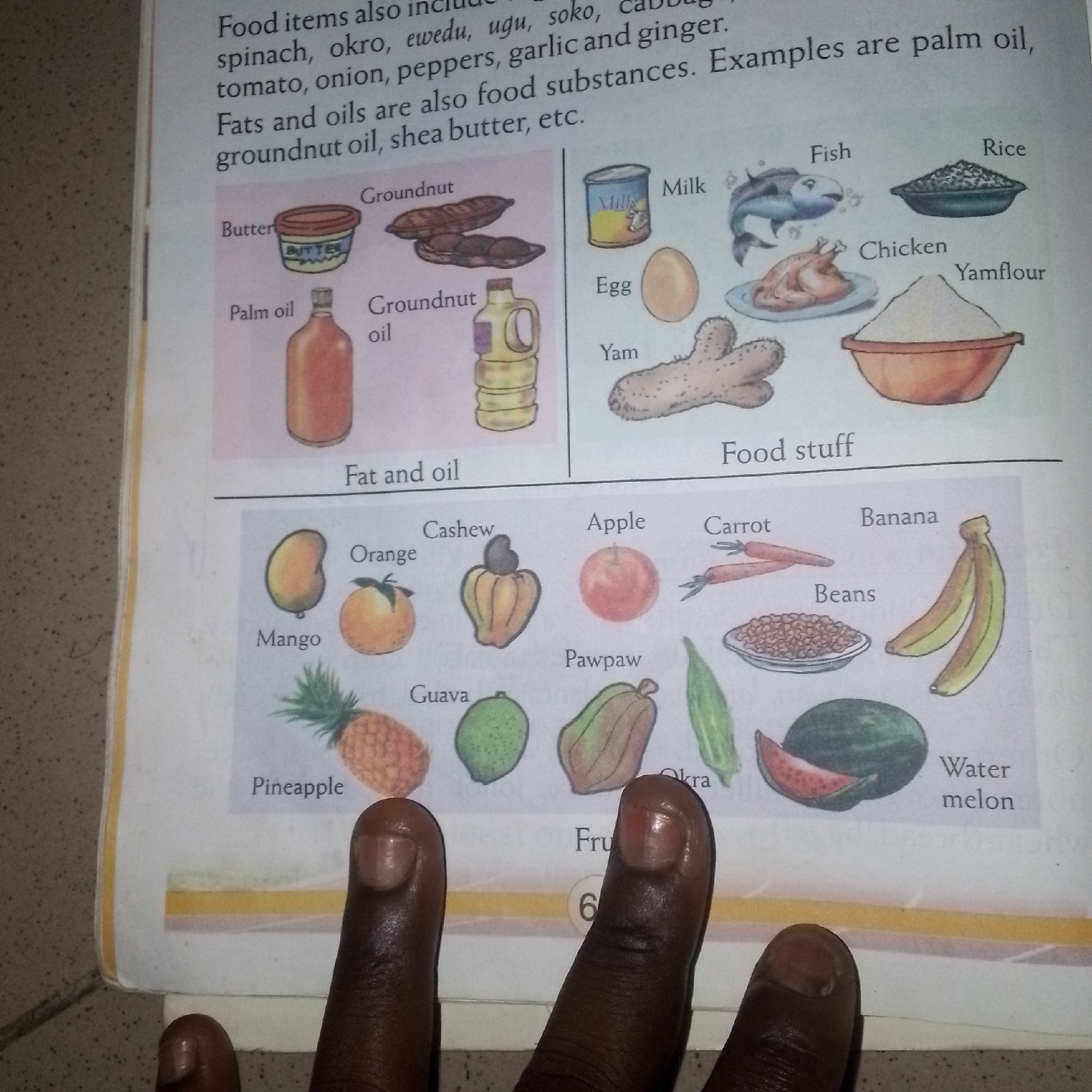 The image shows an open book with illustrations of food items. The text at the top of the page discusses food items, including vegetables and fats/oils. The left side of the page displays illustrations of butter, palm oil, and groundnut oil. The right side of the page features illustrations of milk, egg, yam, fish, chicken, rice, and yam flour.
Below these illustrations, the page is divided by a horizontal line. The bottom half of the page displays illustrations of various fruits and vegetables, including mango, orange, cashew, apple, carrot, banana, beans, pineapple, guava, pawpaw, okra, and watermelon. The text "Fru" is visible at the bottom, partially obscured by fingers.
Three fingers are prominently visible in the foreground, obscuring parts of the lower section of the book. These fingers appear to be from an individual with dark skin. The page itself is white with printed text and illustrations. The background of the image is a textured, speckled surface, possibly a table or floor. The lighting appears to be from above and slightly to the left. No specific location within a city is identifiable from the image.
