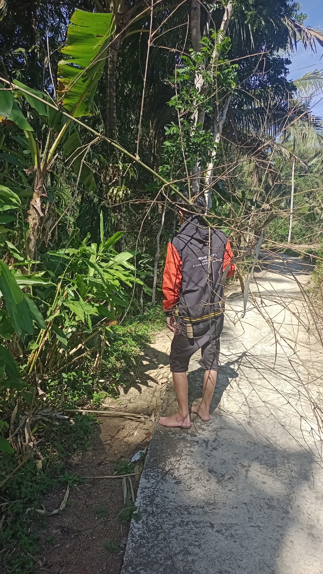 In Desa Burujul Jaya, Indonesia, a barefoot person is seen standing on a concrete path in a rural, tropical environment. The individual, facing away from the camera, is wearing a black and orange jacket and dark shorts. They are positioned amidst dense vegetation, including large-leafed plants that appear to be banana trees and other tropical flora. Branches from a nearby tree hang low over the path, partially obscuring the view. The ground is a mix of dirt and vegetation, with some dried leaves and twigs scattered about. Sunlight casts shadows from the branches and foliage onto the concrete path. The overall scene suggests a natural, outdoor setting in a village or countryside.