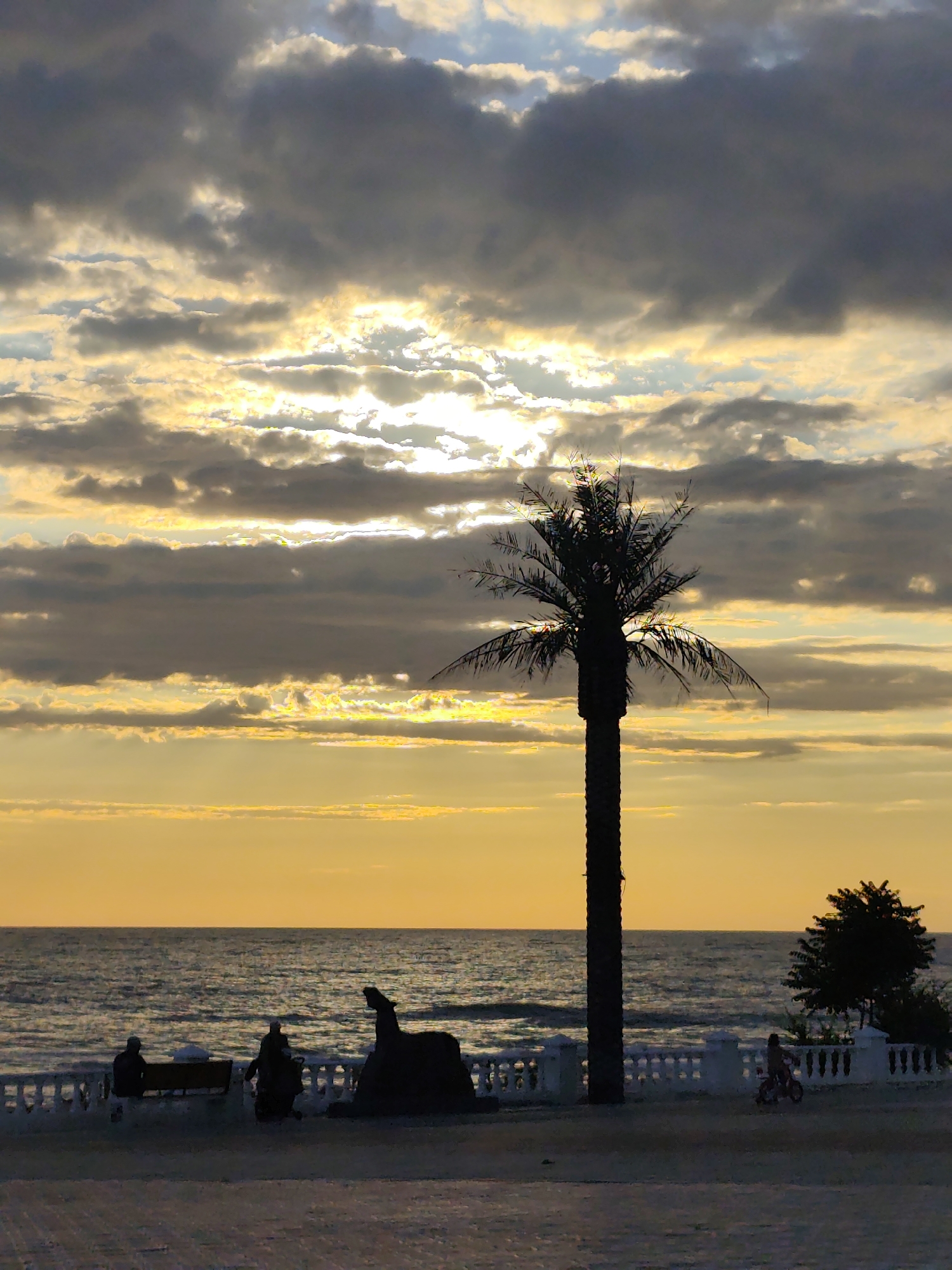 The image captures a serene sunset scene by the sea in Aktau, Kazakhstan. The sky is a spectacle of dramatic clouds tinged with golden hues from the setting sun, with patches of brighter light breaking through. In the foreground, a silhouetted palm tree stands tall, its fronds spread against the vibrant sky.
Along the promenade, several figures are visible. Two people are seated on a bench, their forms dark against the lighter background. Another figure appears to be standing near them. A distinct statue, also in silhouette, is positioned on the promenade. Further down, a child is seen riding a bicycle, adding a touch of gentle activity to the tranquil setting. A lone tree with a full canopy stands to the right, completing the picturesque landscape.
The sea stretches out, its surface rippled by gentle waves, reflecting the warm colors of the sky. A white balustrade lines the promenade, separating it from the beach. The overall mood is peaceful and contemplative, characteristic of a sunset by the coast. The time of day is clearly evening, indicated by the low angle of the sun and the warm, diffused light. The weather appears clear with scattered clouds, contributing to the beautiful sky. No text is visible in the image.
