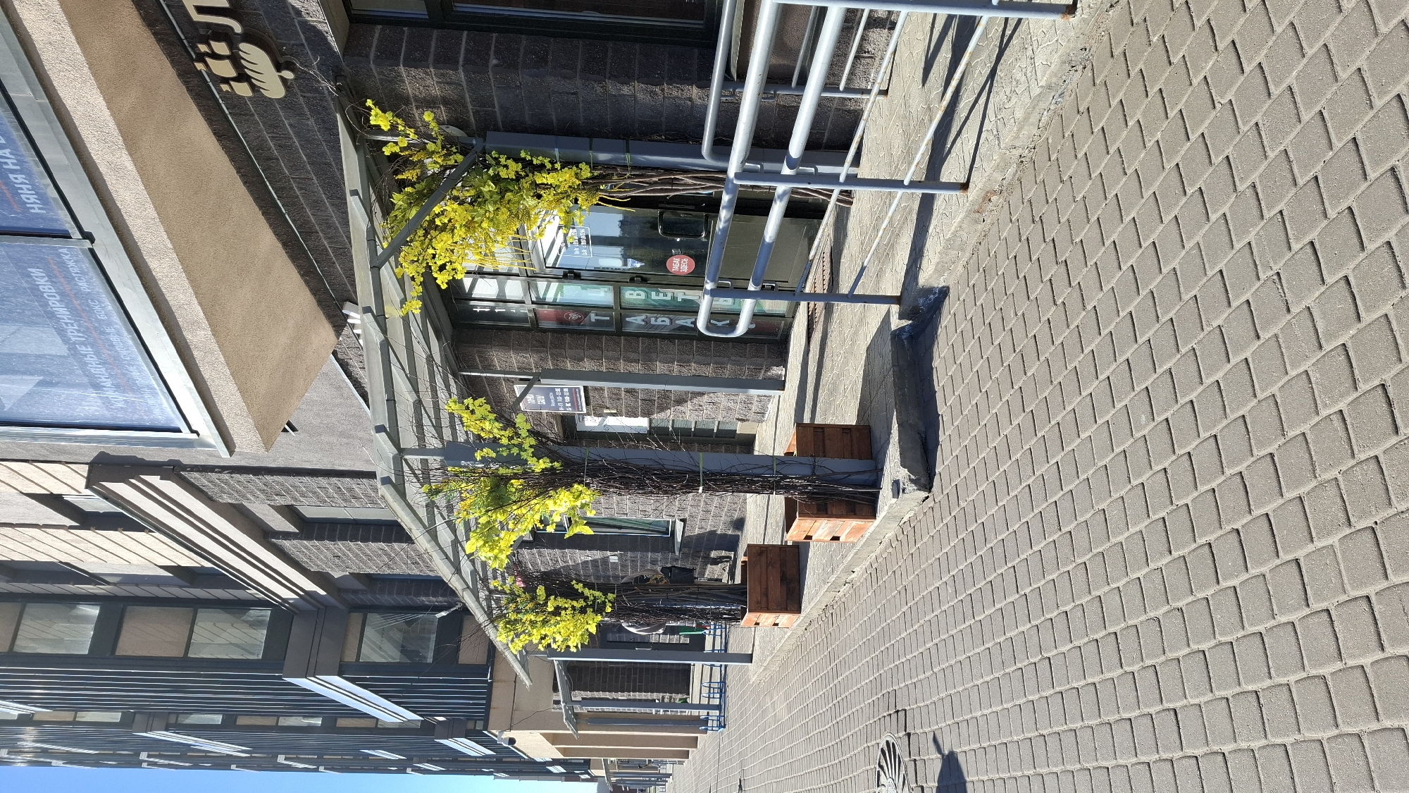 The image shows a street view, likely in Saint Petersburg, Russia, based on the Cyrillic script visible on signage. The perspective is from the sidewalk looking towards a building with a storefront. The sidewalk is paved with rectangular gray pavers. The building has a dark brick façade with windows and a glass door. A metal railing runs parallel to the sidewalk. Decorations consisting of branches adorned with yellow flowers are positioned along the storefront in wooden planters. The sky is visible at the bottom of the image and is clear and blue. There are no people visible in the picture.