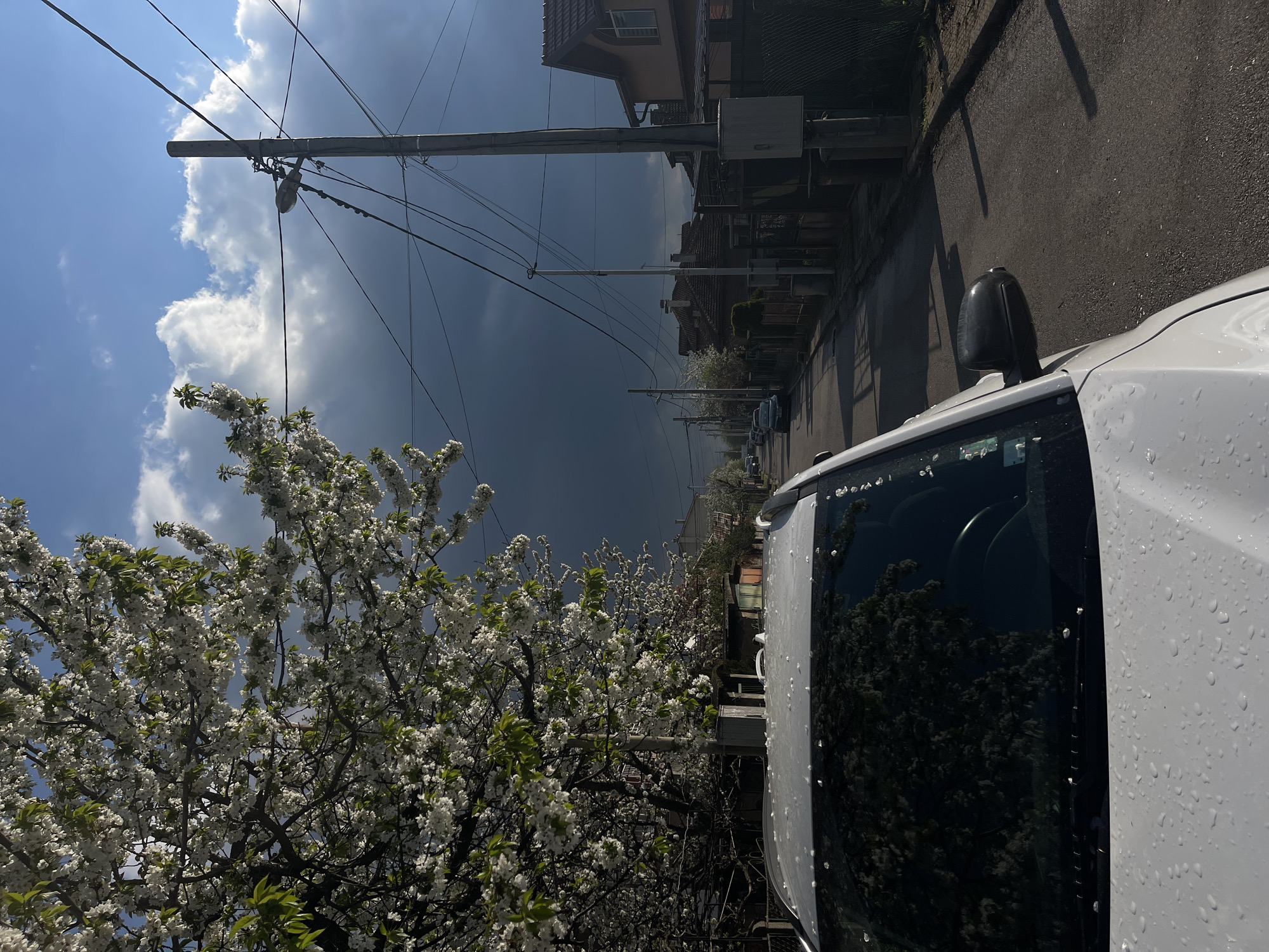 The image displays a street scene in Sofia, Bulgaria, under dramatically contrasting weather conditions during the daytime. On the left side of the foreground, a large tree is in full bloom, densely covered with white blossoms. To the right, the front portion of a white vehicle is visible, its surface and windshield adorned with numerous water droplets, indicating recent rainfall. The car's window reflects the surrounding trees.
In the midground, a utility pole stands prominently with a street lamp attached, supporting a complex network of overhead wires that crisscross the sky. A residential street extends down the right side of the frame, flanked by houses with distinct roofs. The sky exhibits a stark dichotomy: the left half is clear blue with scattered white clouds, while the right half is dominated by a vast, dark, and ominous cloud mass, suggesting an impending storm. No people or visible text are present in the image.