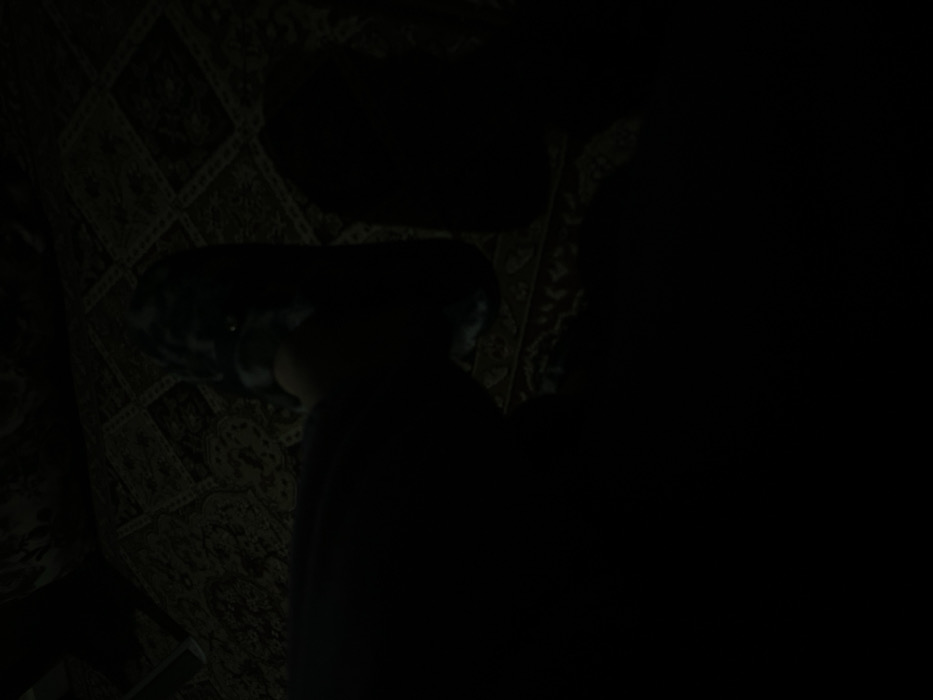 A dimly lit room with a patterned rug. A dark figure, possibly a person, is partially visible in the center. Behind the figure is a darker shape that may be a piece of furniture or another object. The right side of the image fades into darkness, making it difficult to discern any details. Overall, the image is obscured by shadows.
