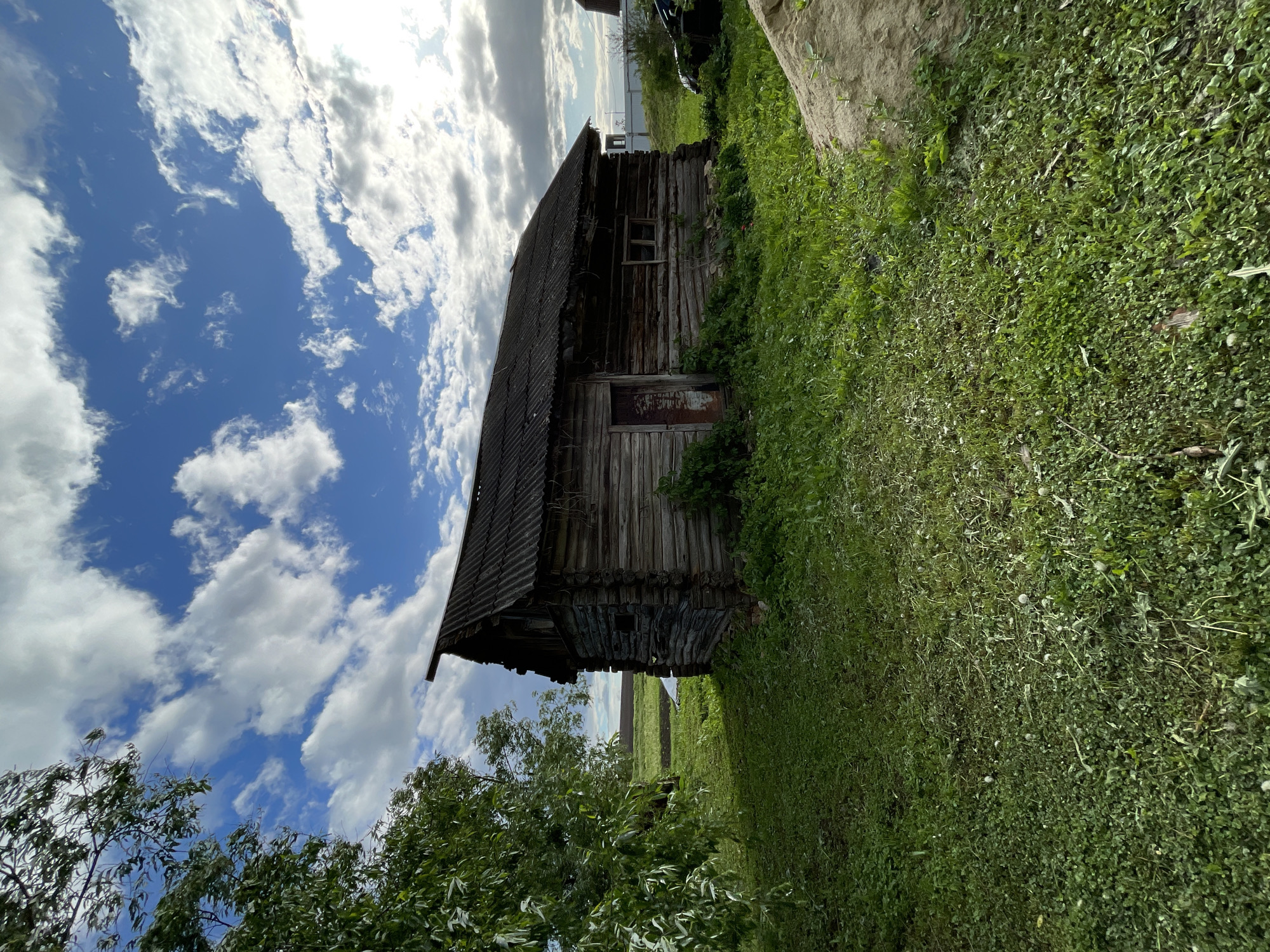 The image shows a weathered, single-story wooden building in a rural setting, likely in the city of Шеметово, Russia. The structure has a dark, corrugated roof and appears to be old and possibly abandoned. The surrounding environment is overgrown with lush green grass and vegetation. The sky is bright blue with scattered white clouds. A tree is visible in the foreground on the left. A large rock is on the upper right.