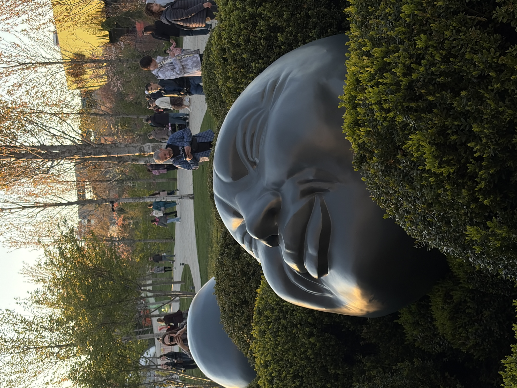 The image shows two large, gray head sculptures emerging from dense green bushes. People are walking along a paved path in the background, lined with trees. The scene is likely at the Krasnodar Park, Russia. The lighting suggests it's late afternoon or early evening.