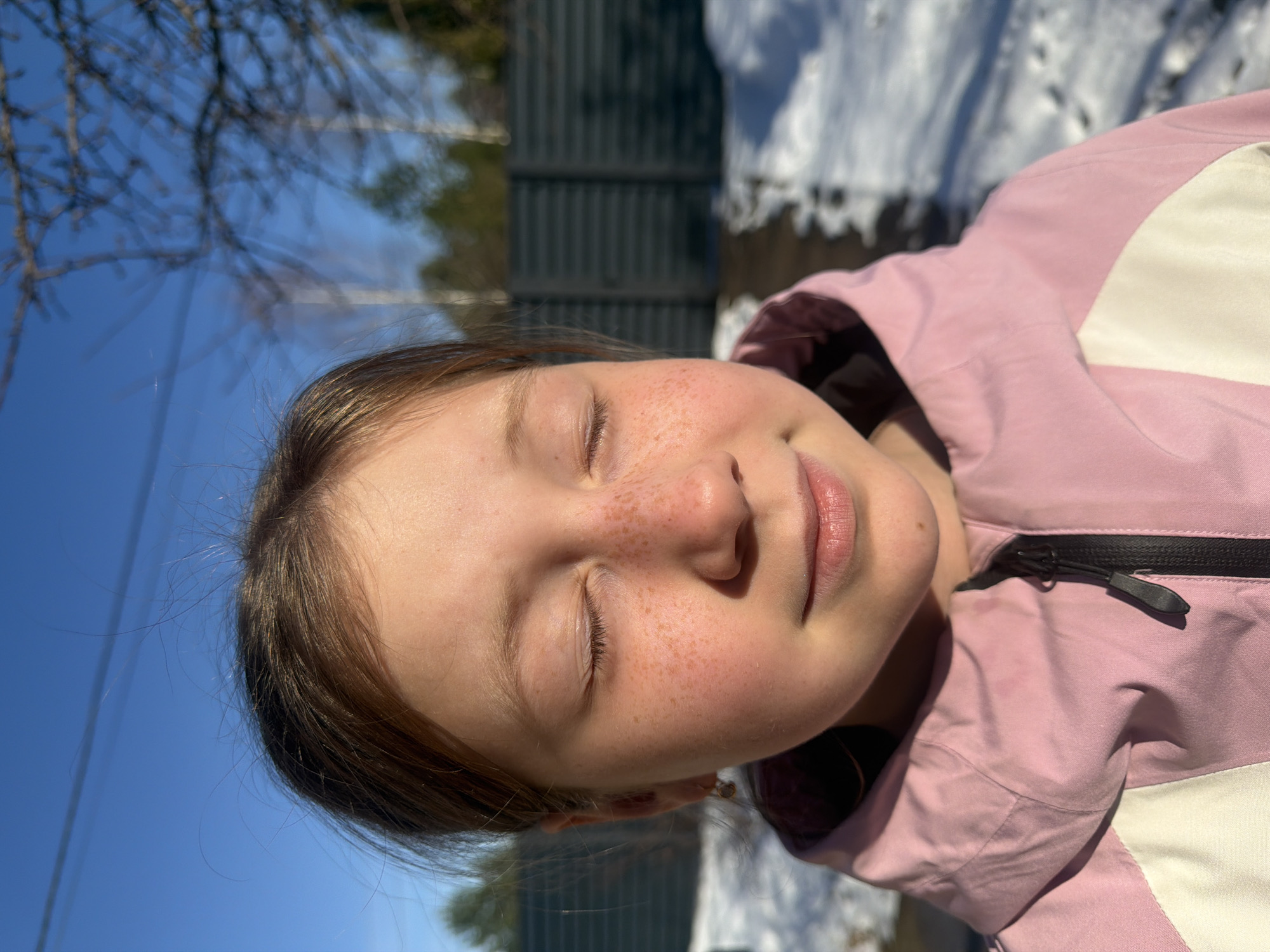 A close-up portrait shows a young girl with light skin and freckles across her nose and cheeks, her eyes closed. She is wearing a pink and white winter jacket with the zipper partially visible. The background features a clear blue sky, bare tree branches, a gray corrugated metal fence, and patches of snow. The location appears to be outdoors on a sunny day.