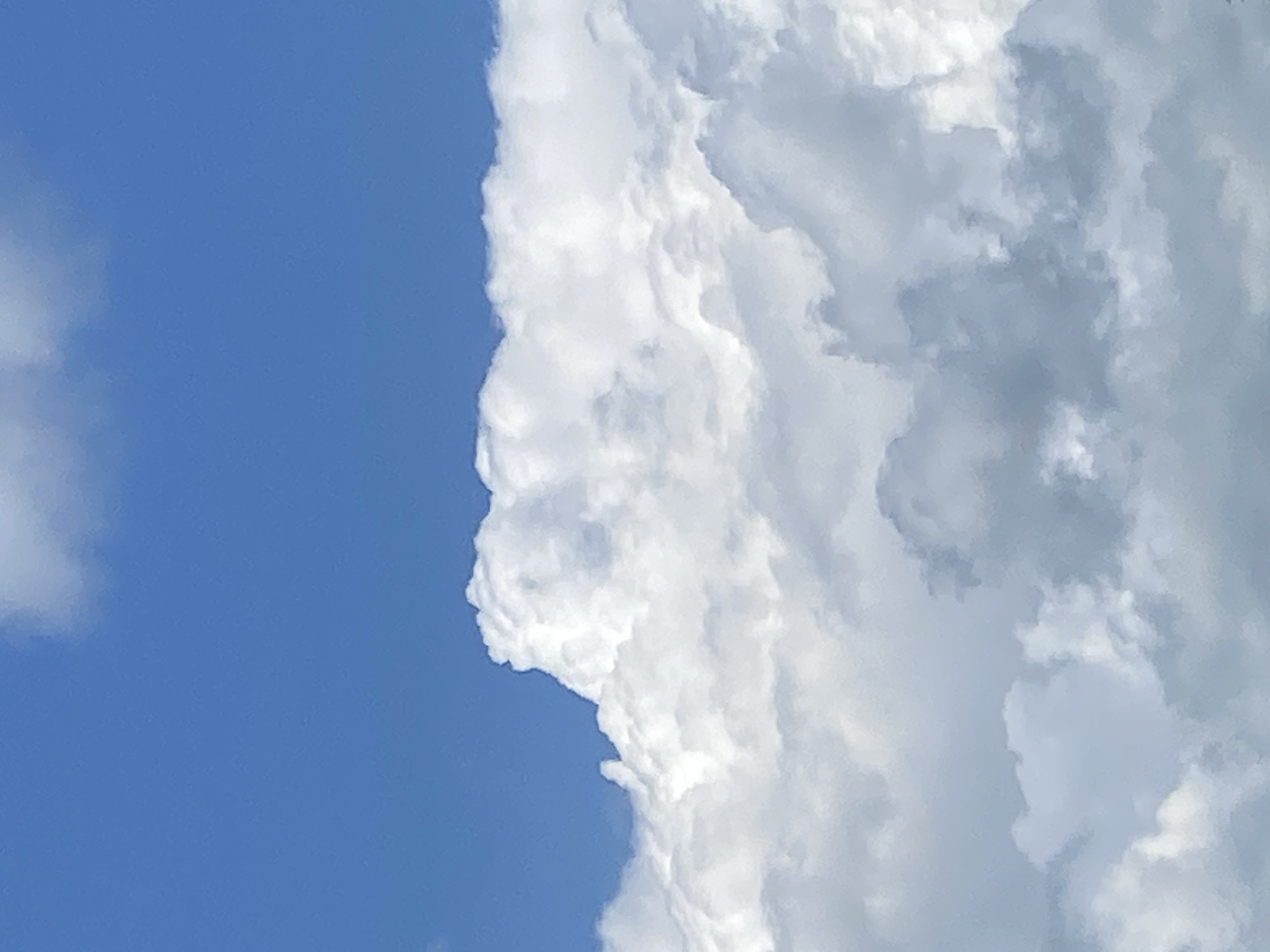 This is a vertical, close-up shot of a blue sky with large, fluffy white and gray clouds. The upper portion of the image is a solid expanse of clear, bright blue sky. Below the blue sky, a massive, white cumulus cloud dominates the frame, its textured surface catching the sunlight. The bottom half of the image reveals layers of smaller, grayer clouds, some appearing more distant and wispy. The overall impression is of a dynamic sky with a mix of bright and shadowed clouds, suggesting a day with changing weather conditions. The scene appears to be an outdoor environment.