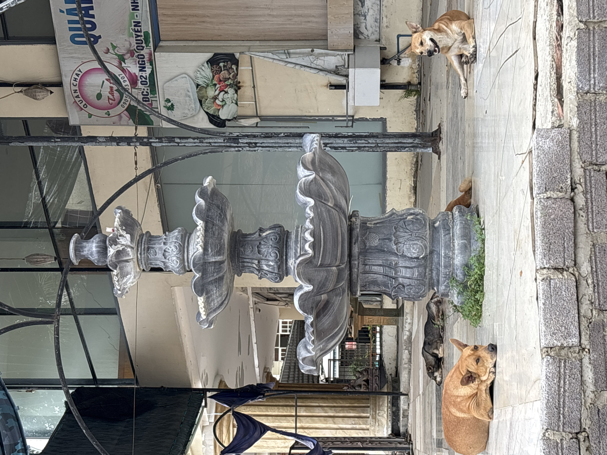 This image captures a street scene in Nha Trang, Vietnam, with a prominent stone fountain as the central element. Two dogs are present: one lying down in the foreground with its head resting on its paws, and another sitting further back to the right, panting with its mouth open. The fountain is ornate, with multiple tiers. Behind the fountain, a building facade is visible, featuring a sign for "QUÁN CHAY TÂM Á" which indicates a vegetarian restaurant, and an address that reads "DC: 02 NGÔ QUYỀN - NH". The ground is paved with light-colored tiles, some of which are cracked. The environment suggests an urban setting, possibly in front of a commercial establishment.