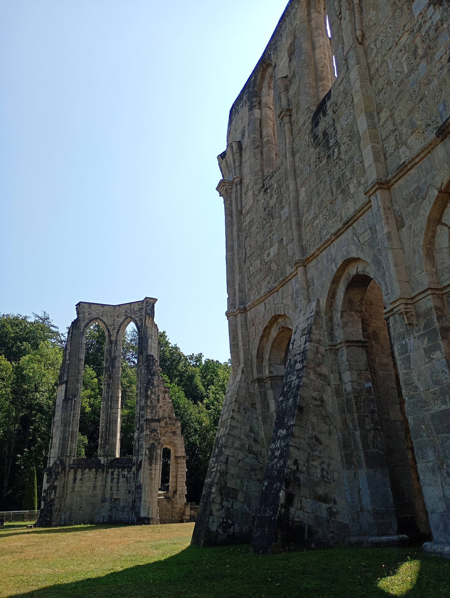 The image shows the ruins of the Walkenried Abbey in Walkenried, Germany, under a clear blue sky. The main subject is the weathered stone architecture of the abbey, with parts of its walls and arched windows standing against the backdrop of lush green trees. The building is constructed from large, irregular stone blocks, showing signs of age and decay. In the foreground, a grassy field with patches of dried grass and scattered yellow wildflowers is visible, with a shadow cast by the structure on the right side of the frame. To the left, a smaller, more ruined section of the abbey stands with three prominent arches, also surrounded by trees. The overall scene conveys a sense of historical grandeur and the passage of time. There are no people or animals present.