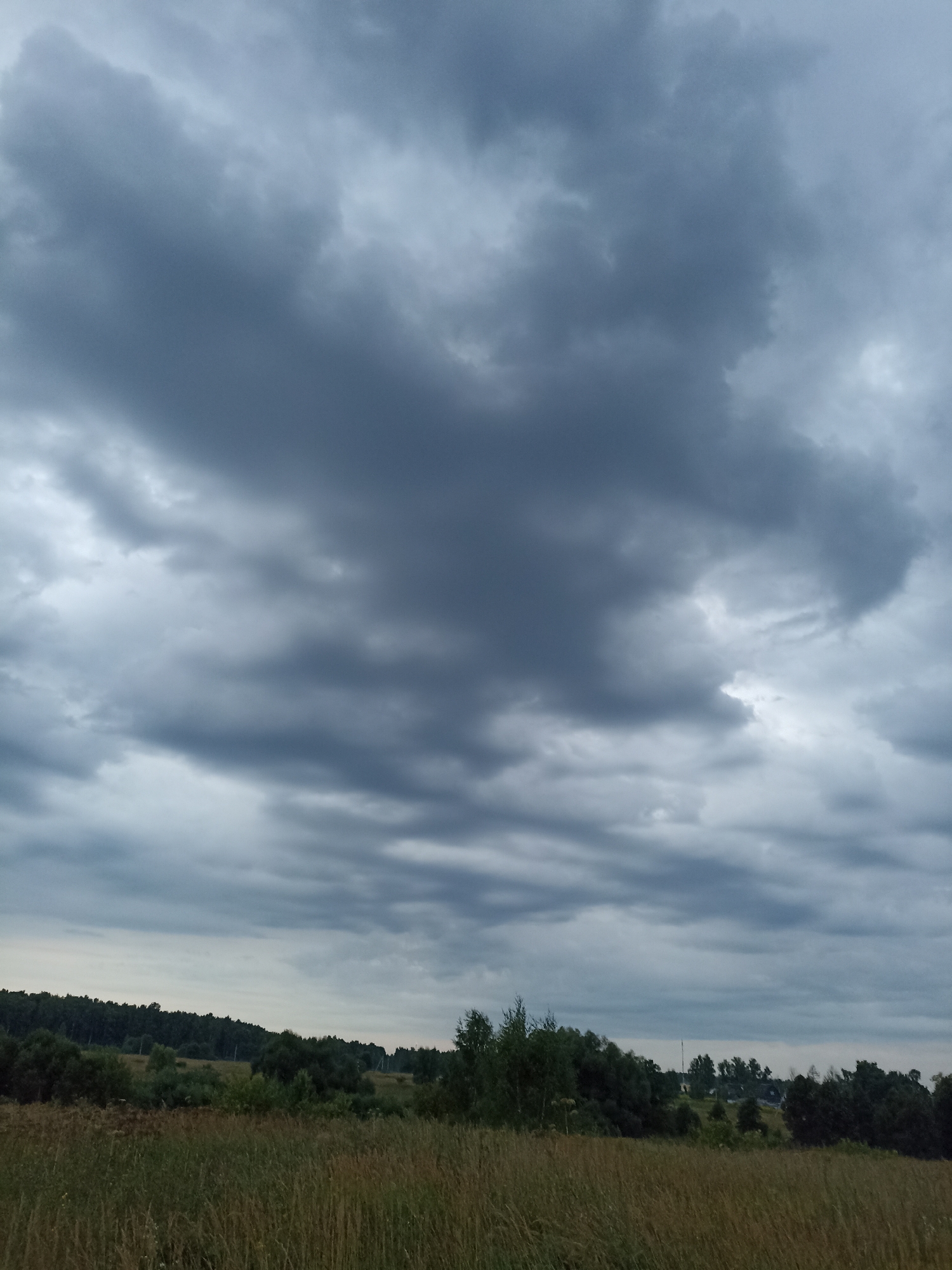 The image depicts a rural landscape under a cloudy sky. The foreground is dominated by tall, dry grass, suggesting a meadow or field. Behind the grass, there is a band of trees and bushes, with some taller trees interspersed. In the distance, the landscape continues with more trees and a few structures that could be houses or other rural buildings. The sky is filled with dark, heavy clouds, indicating overcast or potentially stormy weather. The overall impression is one of a natural, undeveloped area, possibly in the countryside near Ryzhikovo, Russia. There are no people or animals visible in the image.