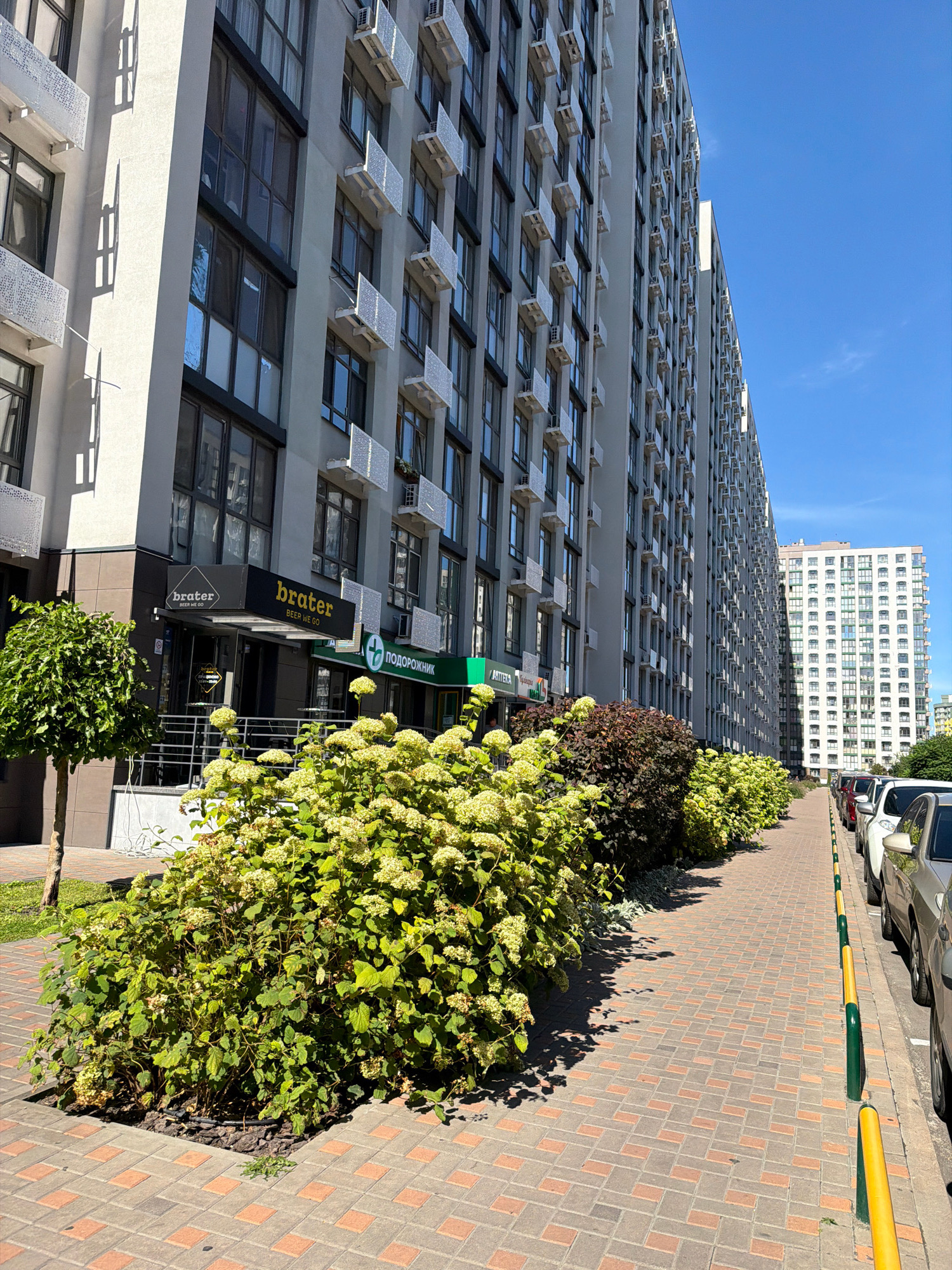 This is a ground-level, eye-level, portrait-oriented photograph of the exterior of a modern apartment building complex in Kyiv, Ukraine. The building is tall with a gray facade, many windows, and visible air conditioning units. In the foreground, a paved walkway runs alongside the building, bordered by a row of low-lying green bushes with light-colored flowers. To the left of the walkway, a neatly trimmed spherical tree stands in a planter. Several parked cars are visible along the right side of the walkway, with yellow and green bollards separating the walkway from the street. One of the buildings has signage for "brater" and "ПОДОРОЖНИК". The sky is clear and blue, indicating a sunny day.