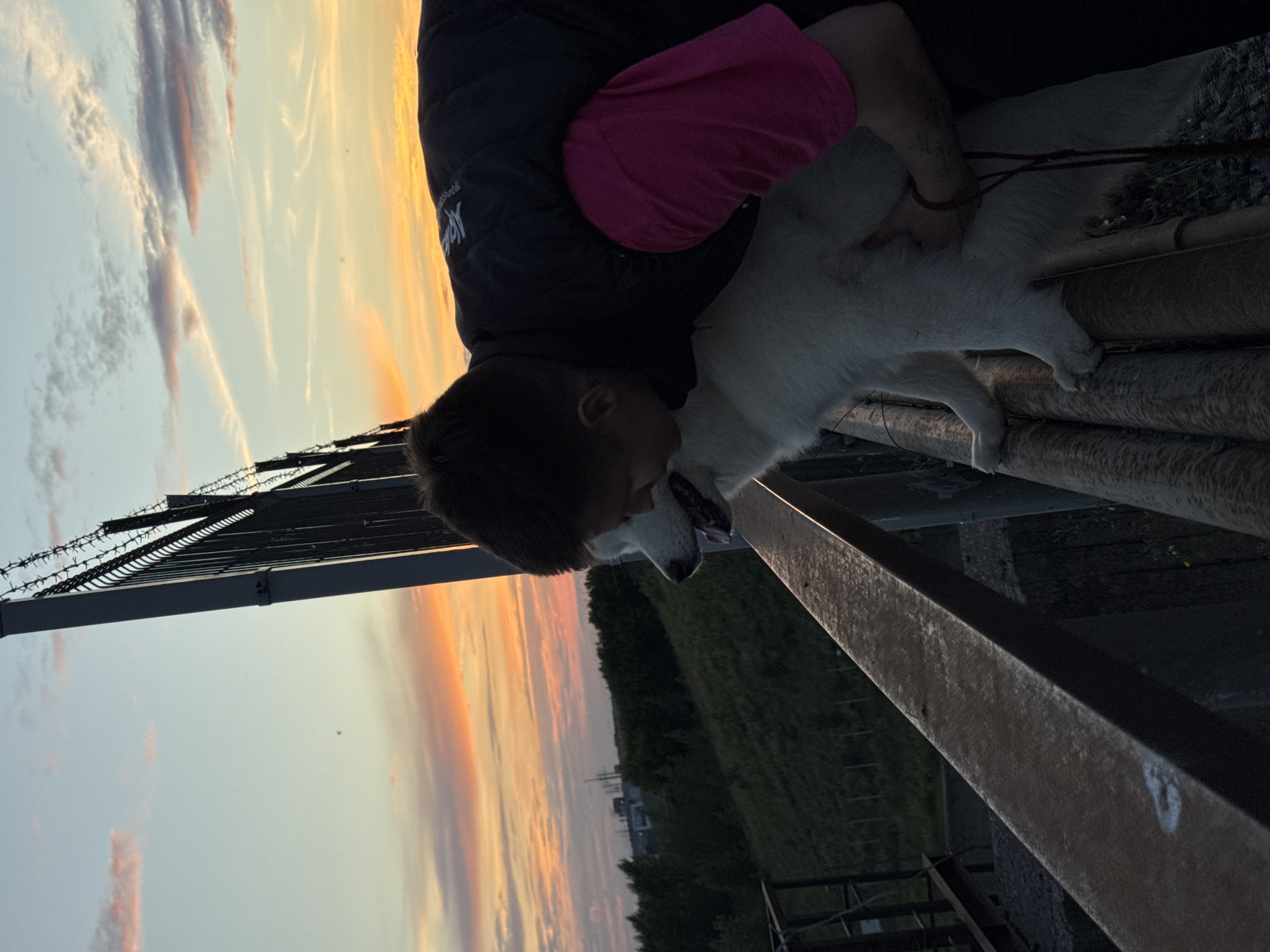 The image shows a person with a white dog at sunset. The person is wearing a dark jacket and a pink shirt. The dog is looking at the person. The background features a sunset with colorful clouds and a barbed wire fence. The scene appears to be outdoors, possibly near an industrial area or a border. The time of day is sunset, indicated by the colors in the sky. The overall mood seems peaceful and intimate, with the person and dog sharing a moment together. There is no visible text in the image. The location context is Chaikovsky, Russia.