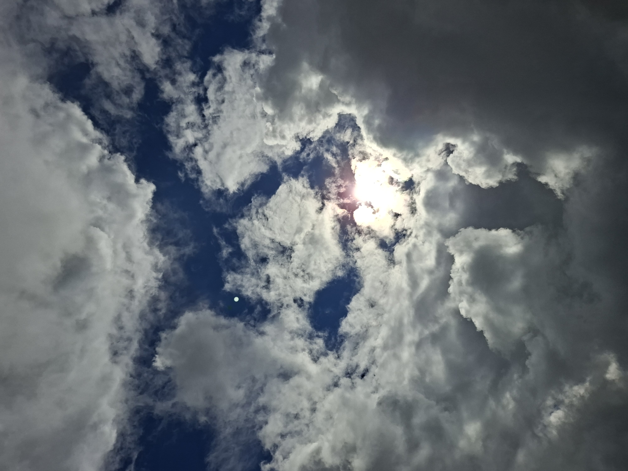 The image captures a vibrant and dynamic sky scene, primarily dominated by clouds and the sun. The primary subjects are the voluminous white and grey clouds that fill most of the frame, interspersed with patches of deep blue sky. The sun is a prominent feature, partially obscured by clouds on the right side of the image, appearing as a bright, glowing orb with a distinct lens flare effect, casting a radiant light that highlights the edges of the surrounding clouds in white and bright grey.
The clouds themselves exhibit a range of textures and densities. Some are fluffy and white, indicating direct illumination by the sun, while others are darker, denser grey, suggesting thickness or being in shadow, particularly towards the upper right and lower left portions of the frame. There are clear lanes of deep blue sky visible, creating striking contrasts against the cloud formations, especially towards the left and center. A small, bright, circular light anomaly (possibly lens flare or a reflection) is visible in the blue sky segment on the left side of the image.
No people, man-made objects, or discernible terrain features are visible, keeping the focus entirely on the celestial expanse. The activity depicted is the natural phenomenon of clouds drifting across the sky, partially obscuring the sun.
The time of day appears to be daytime, likely late morning to afternoon, given the high position and intensity of the sun. The weather condition is partly to mostly cloudy, with brilliant sunshine breaking through. The location context provided is Marakushi, Russia, though no specific geographical markers are visible within the image itself. There is no visible text in the media file.